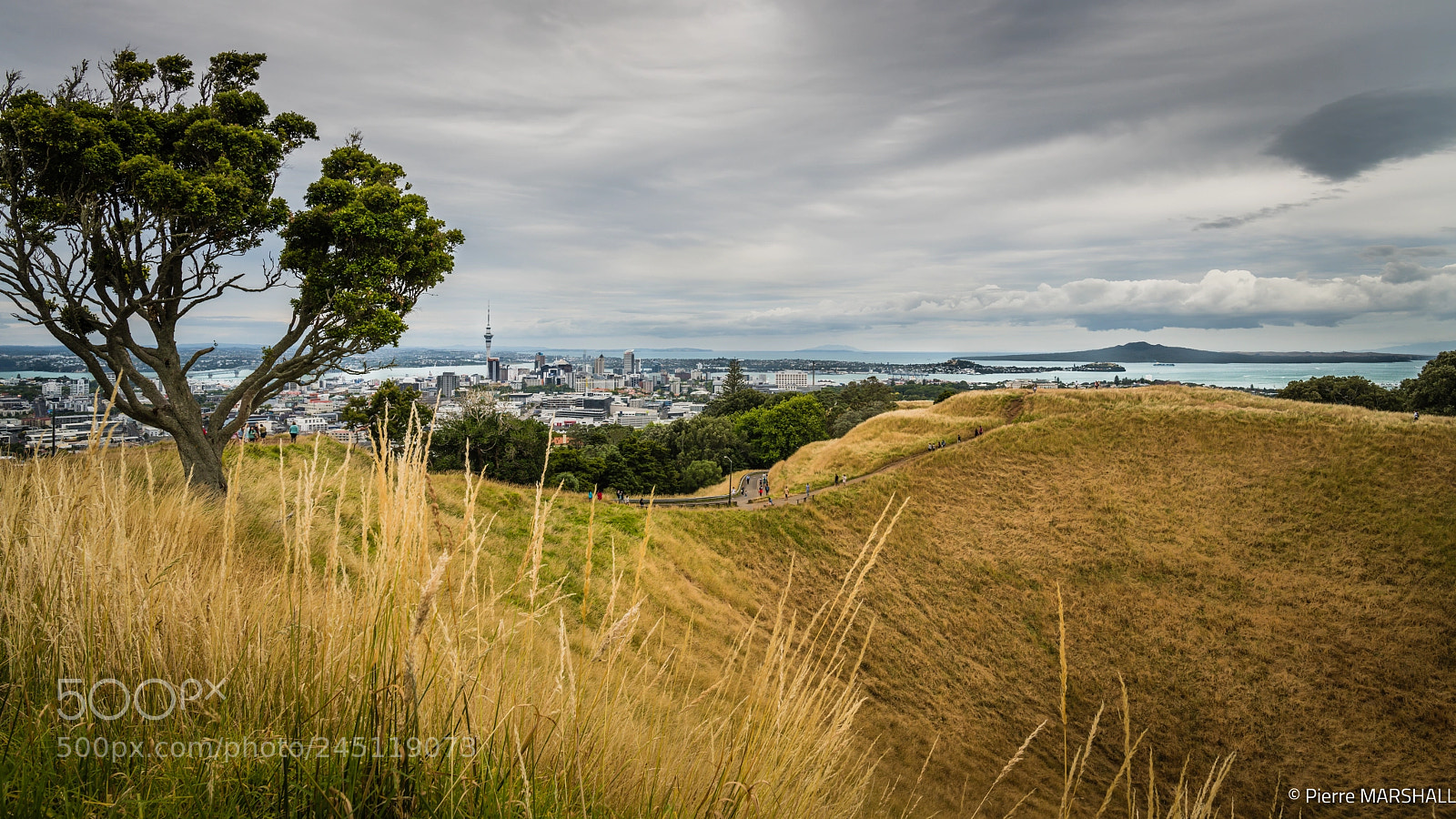 Nikon D850 sample photo. Mount eden - maungawhau photography