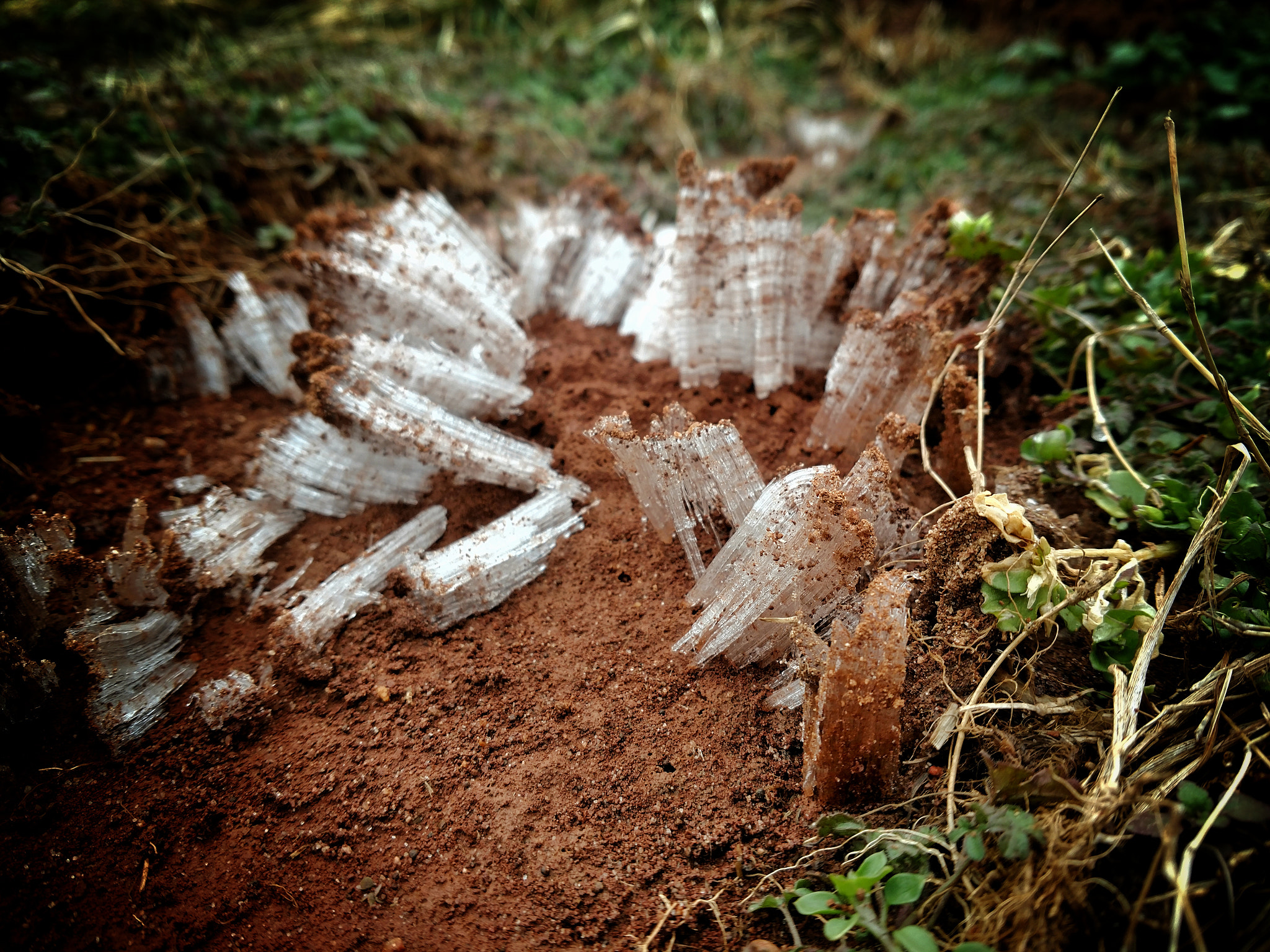 Motorola XT1650 sample photo. Dirt pushed by frost photography