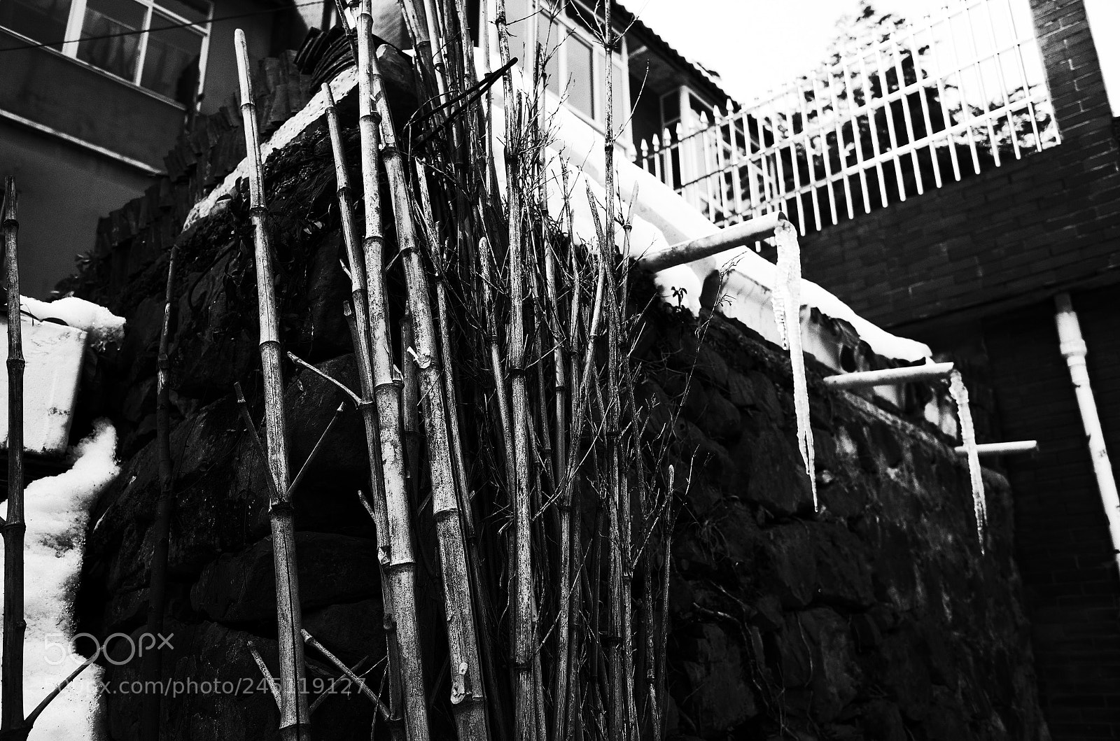 Ricoh GR II sample photo. Black&white photography