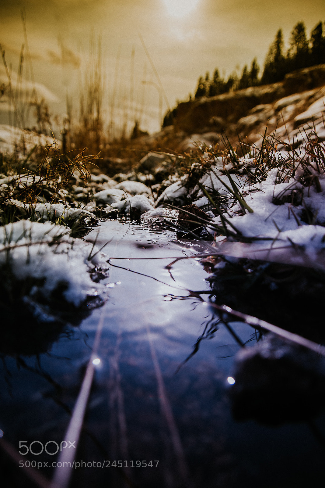 Nikon D600 sample photo. Untitled photography