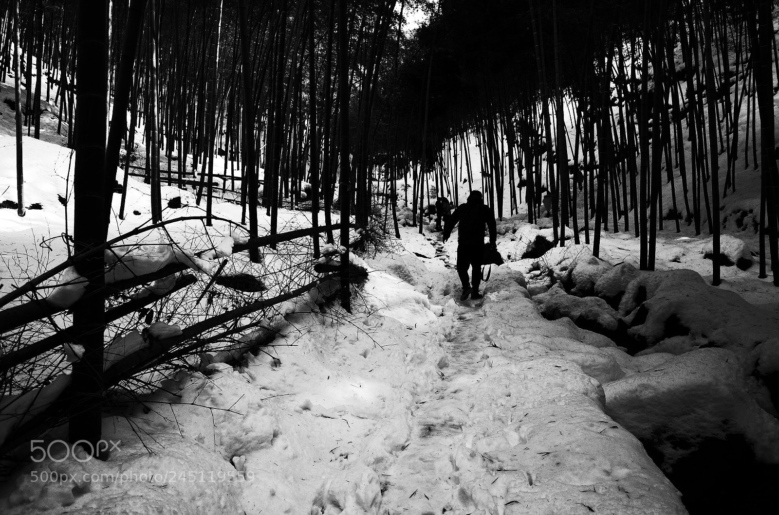 Ricoh GR II sample photo. Black&white photography