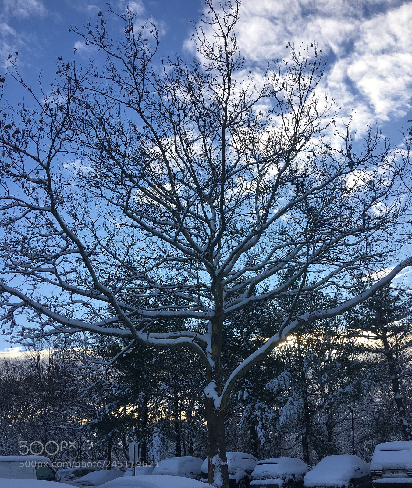 Apple iPhone 6s Plus sample photo. Untitled photography