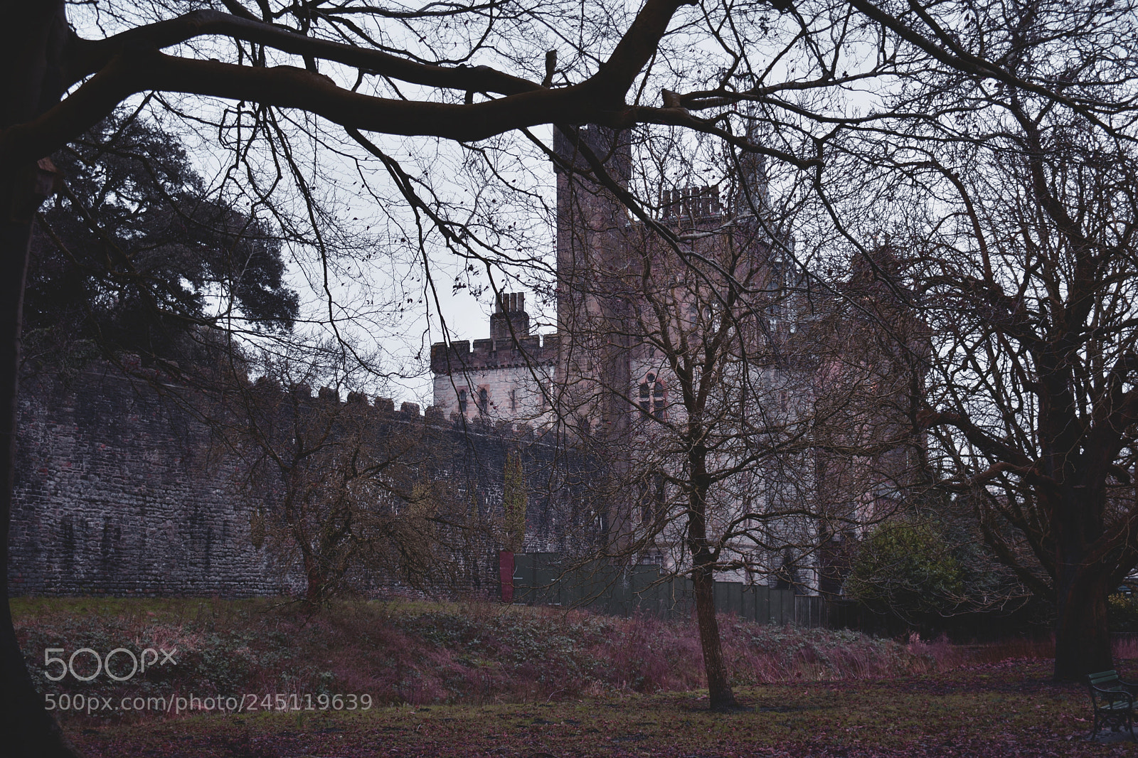 Nikon D3400 sample photo. Bute park photography