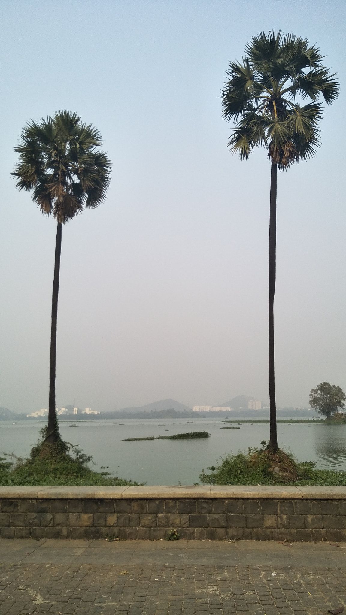 OPPO CPH1701 sample photo