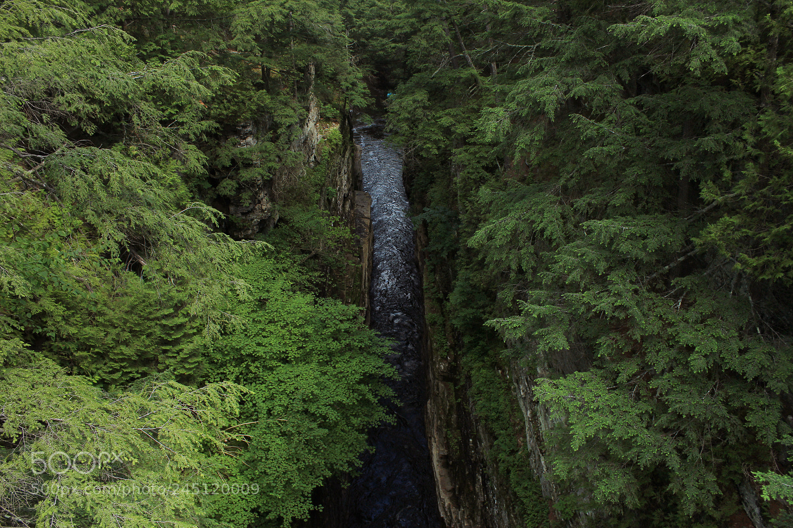 Canon EOS 1200D (EOS Rebel T5 / EOS Kiss X70 / EOS Hi) sample photo. Ausable chasm photography