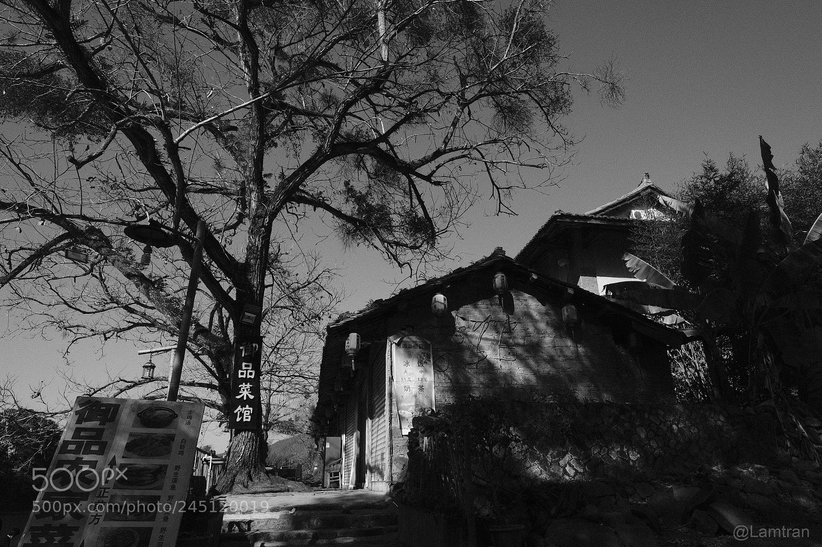 Fujifilm X-Pro2 sample photo. Bw photography