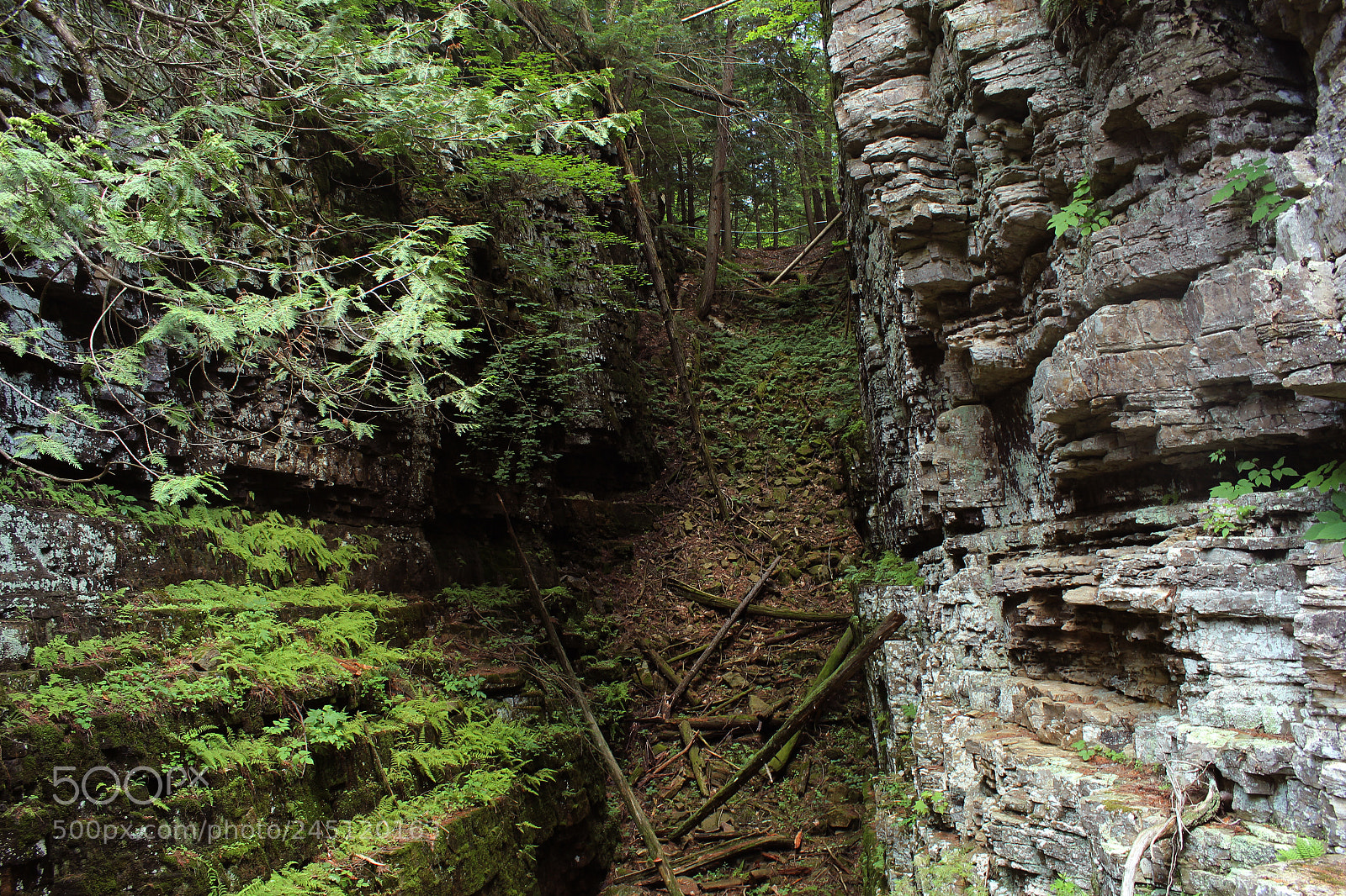 Canon EOS 1200D (EOS Rebel T5 / EOS Kiss X70 / EOS Hi) sample photo. Ausable chasm photography