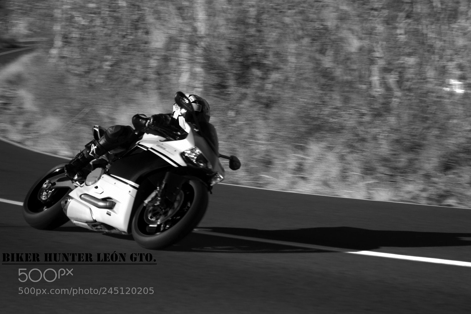 Nikon D3100 sample photo. Untitled photography