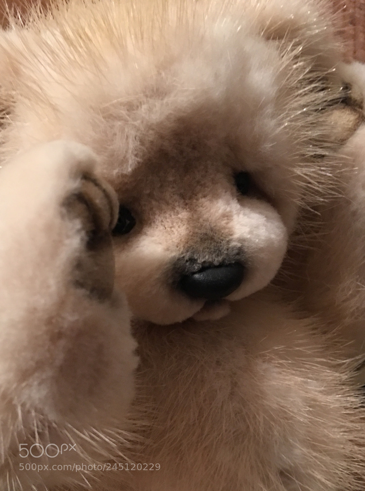 Apple iPhone 6s Plus sample photo. Teddy ❤️ photography