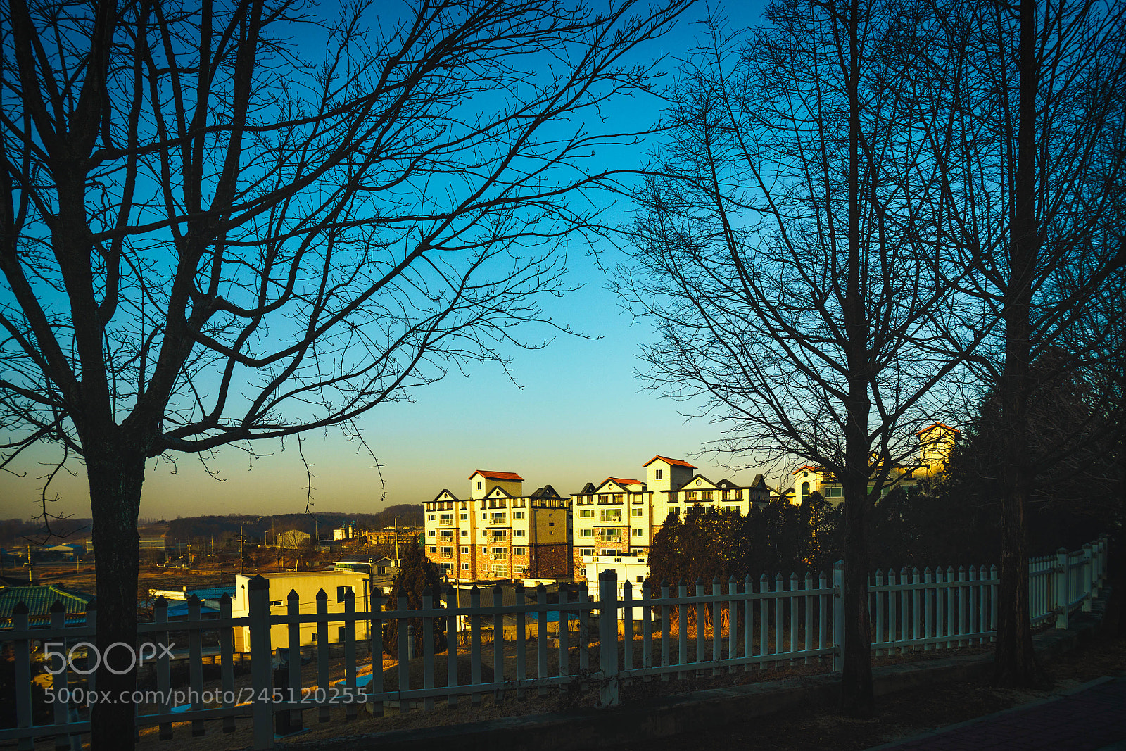 Sony a7R III sample photo. Morning light photography