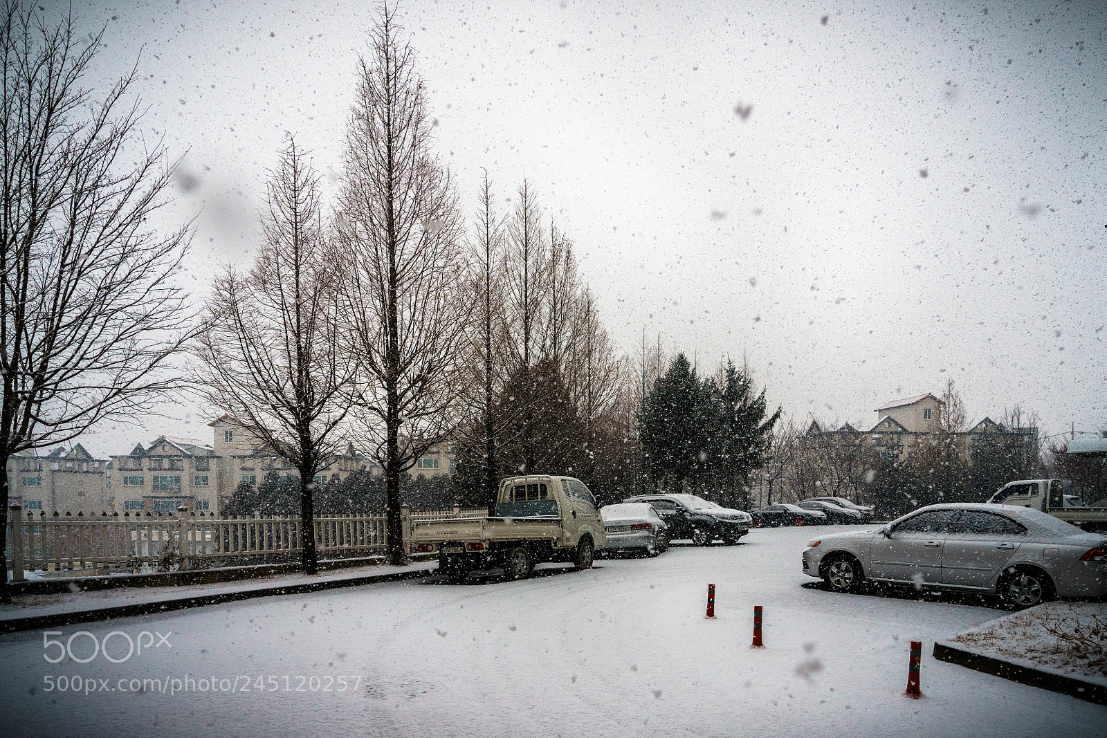 Sony a7R III sample photo. Snowy day photography