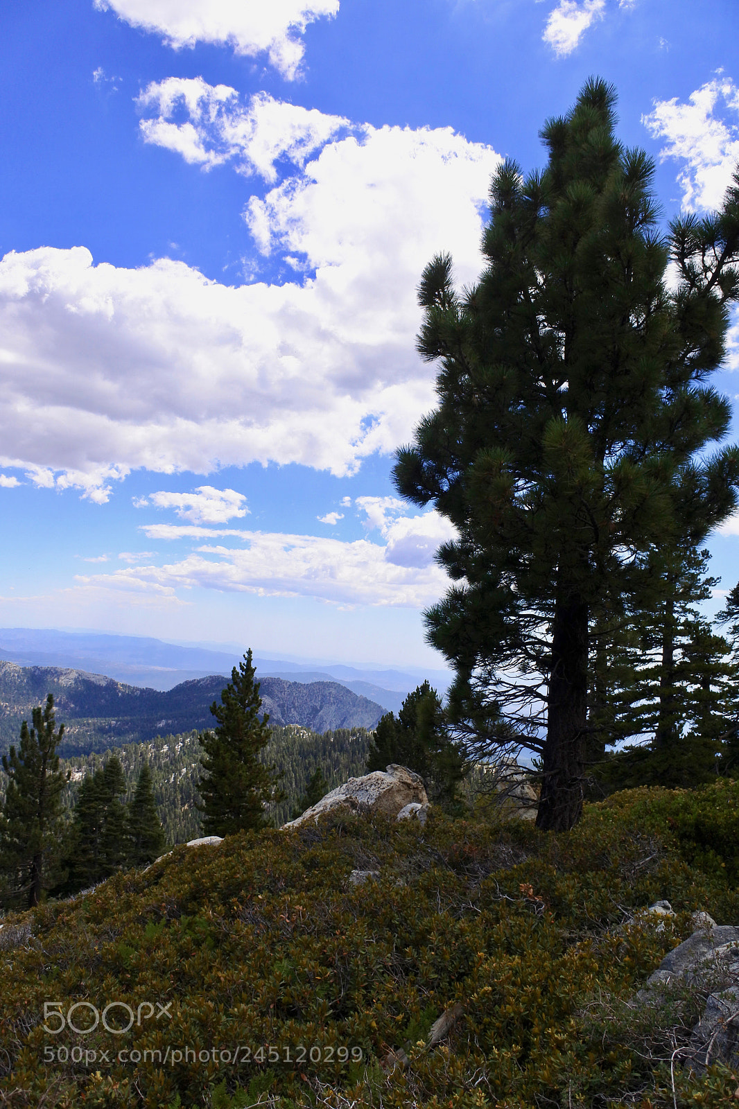 Nikon 1 J5 sample photo. San jacinto 3 photography
