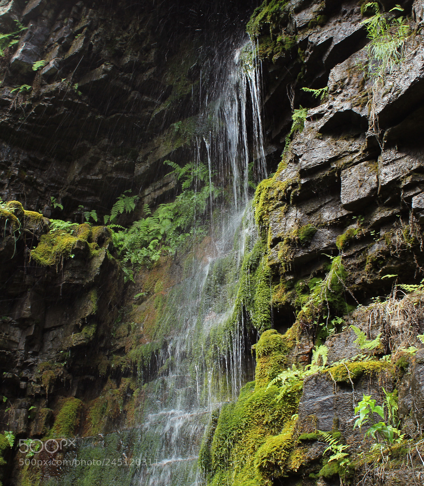 Canon EOS 1200D (EOS Rebel T5 / EOS Kiss X70 / EOS Hi) sample photo. Ausable chasm photography