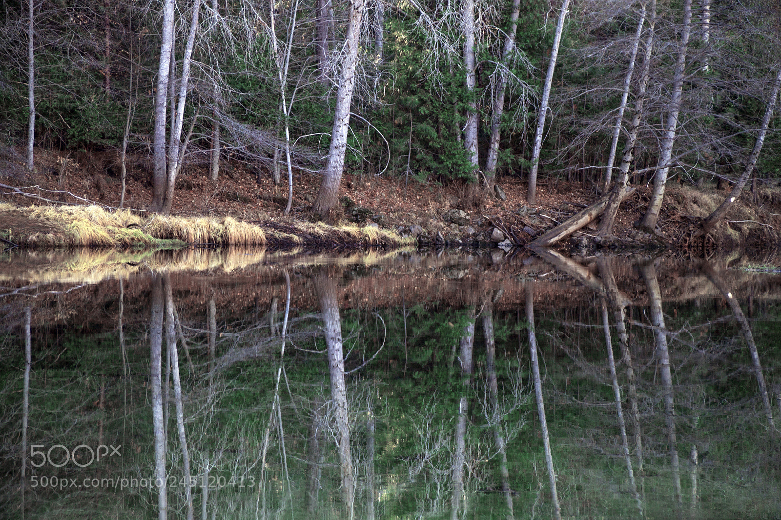 Canon EOS 1100D (EOS Rebel T3 / EOS Kiss X50) sample photo. Cool reflection photography