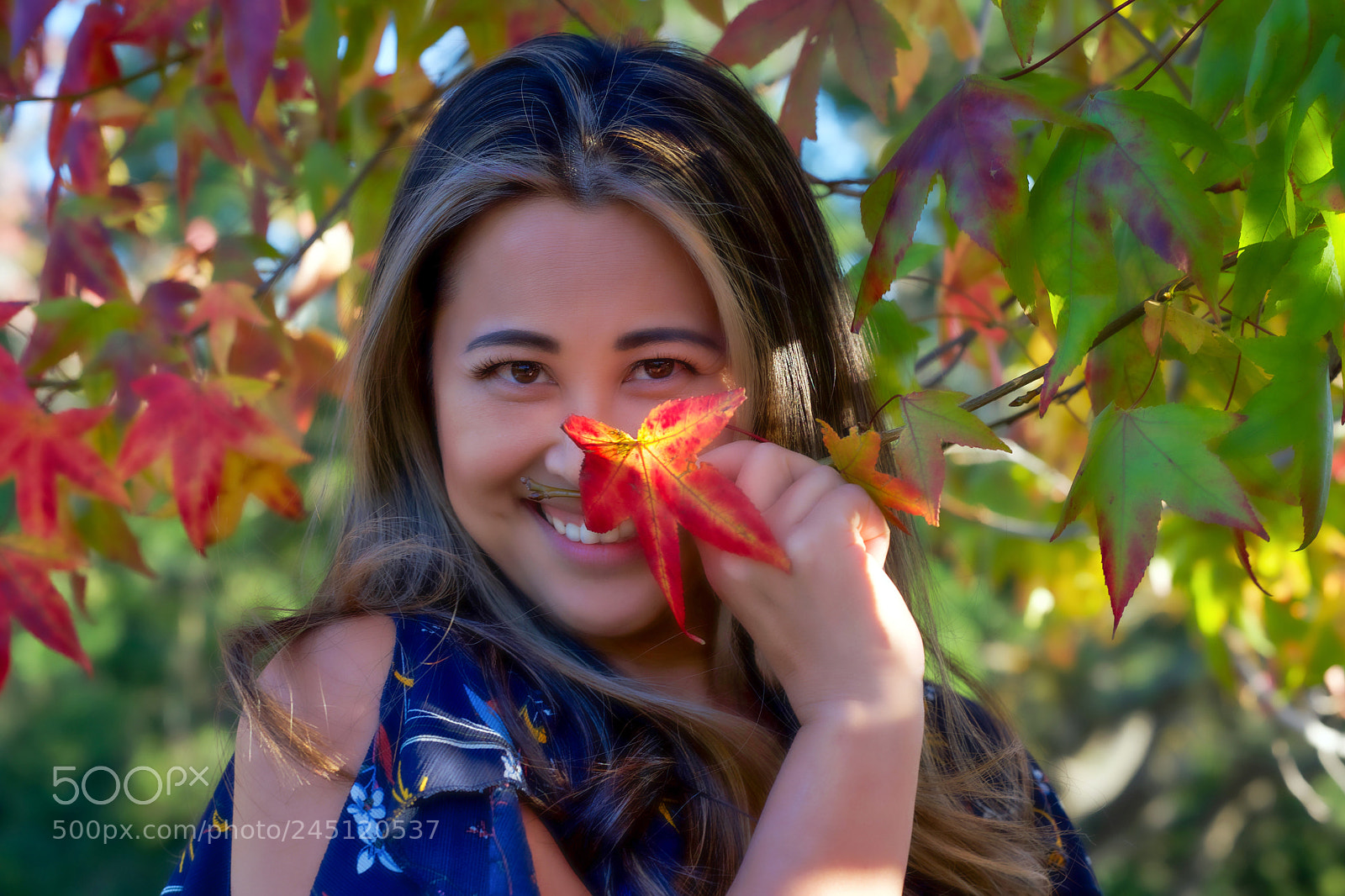 Sony a9 sample photo. Burning like a silver photography