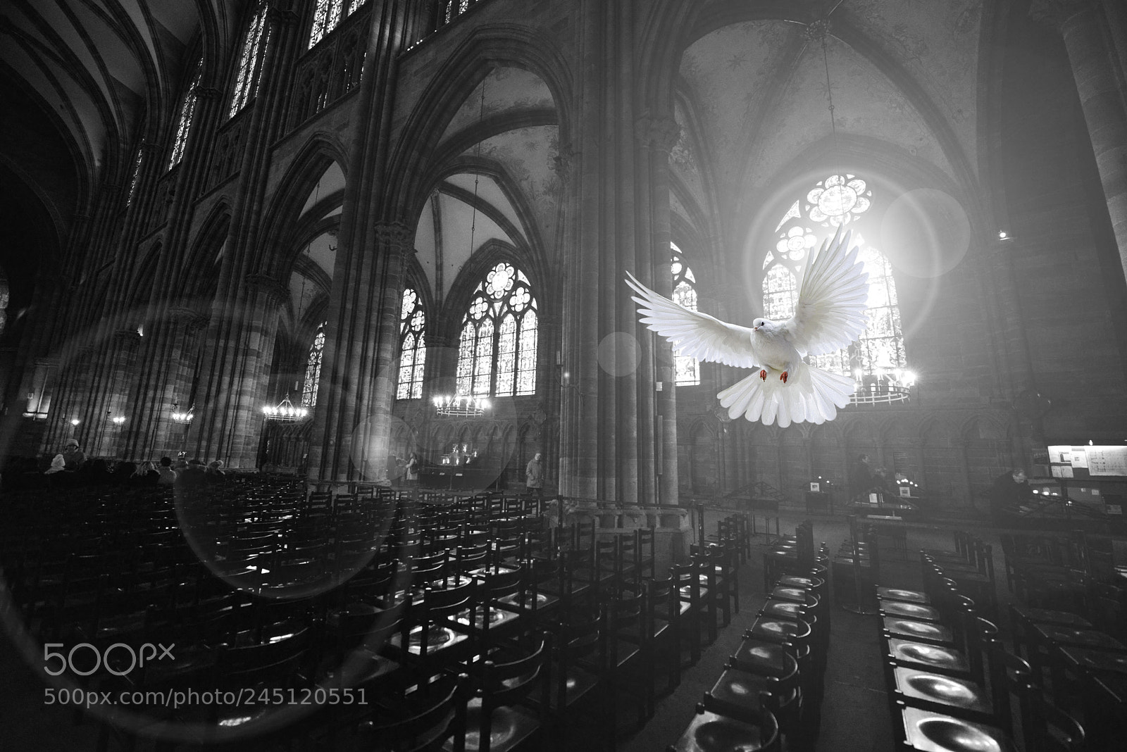 Nikon D800 sample photo. Strasbourg cathedral photography