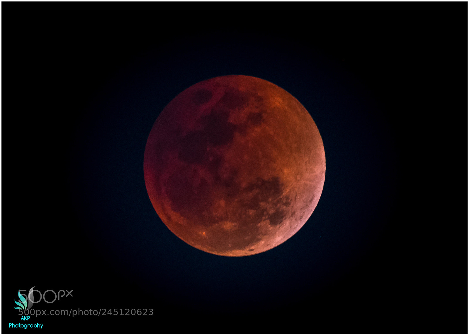 Nikon D500 sample photo. Bluemoon at its best photography