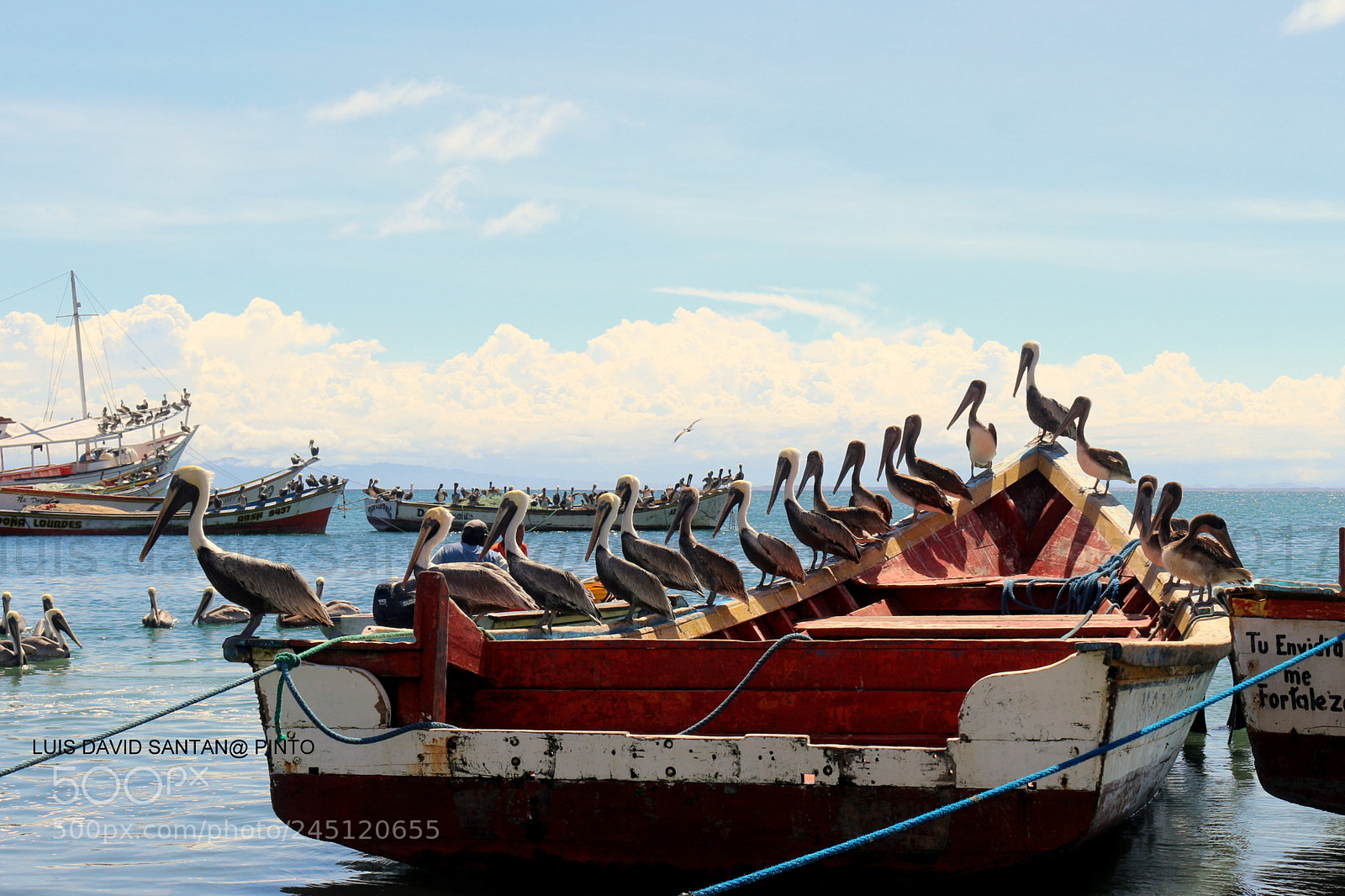 Canon EOS 700D (EOS Rebel T5i / EOS Kiss X7i) sample photo. The meeting photography
