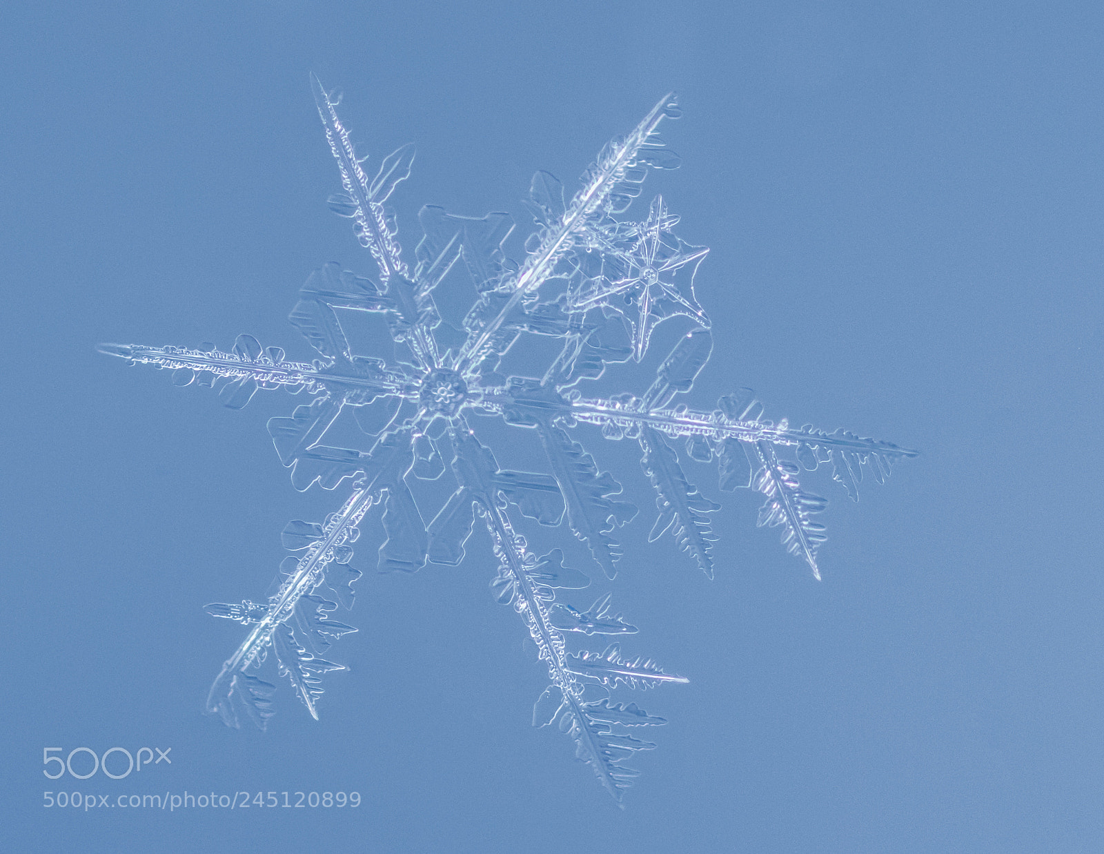 Canon EOS 7D Mark II sample photo. Snowflake photography