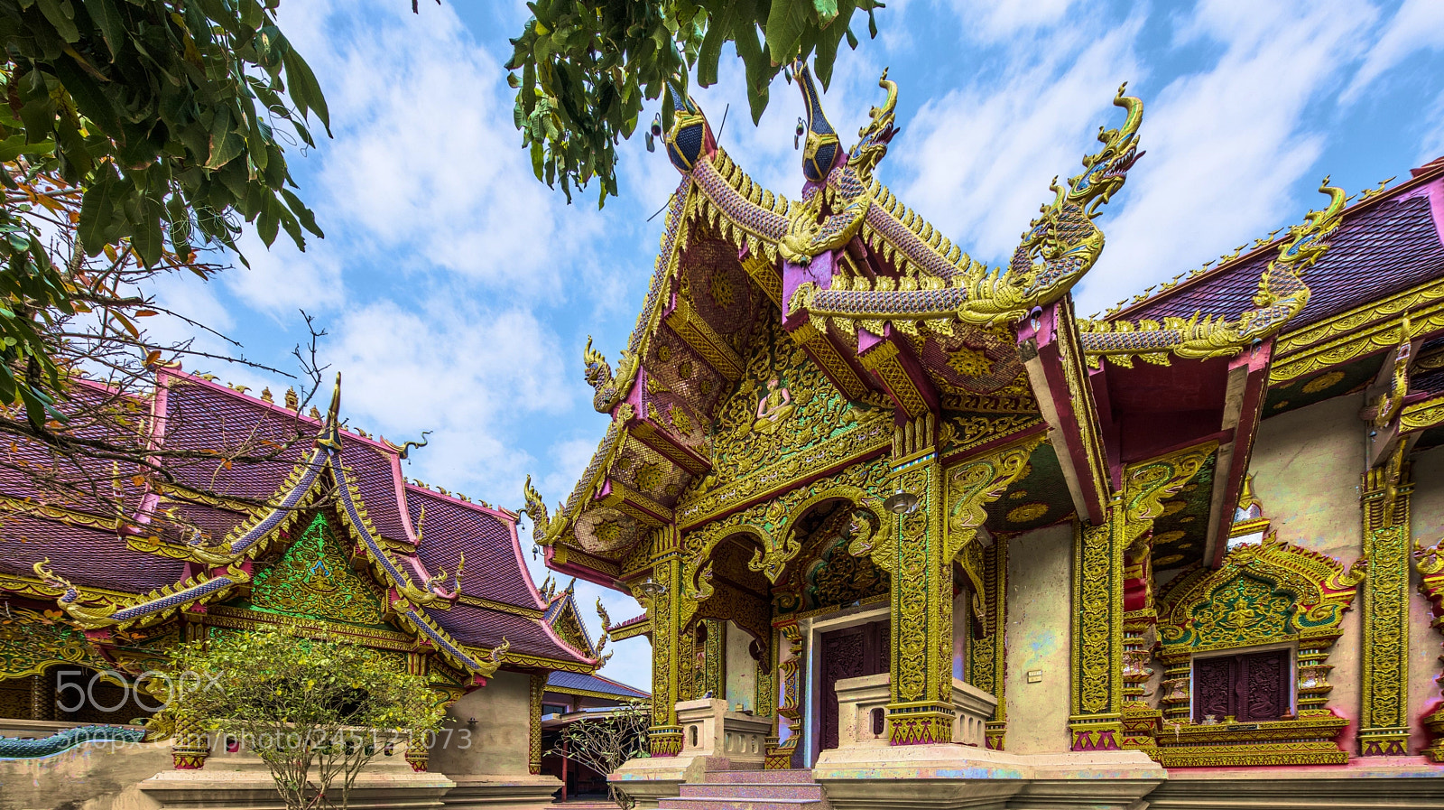 Nikon D850 sample photo. Que d'or photography