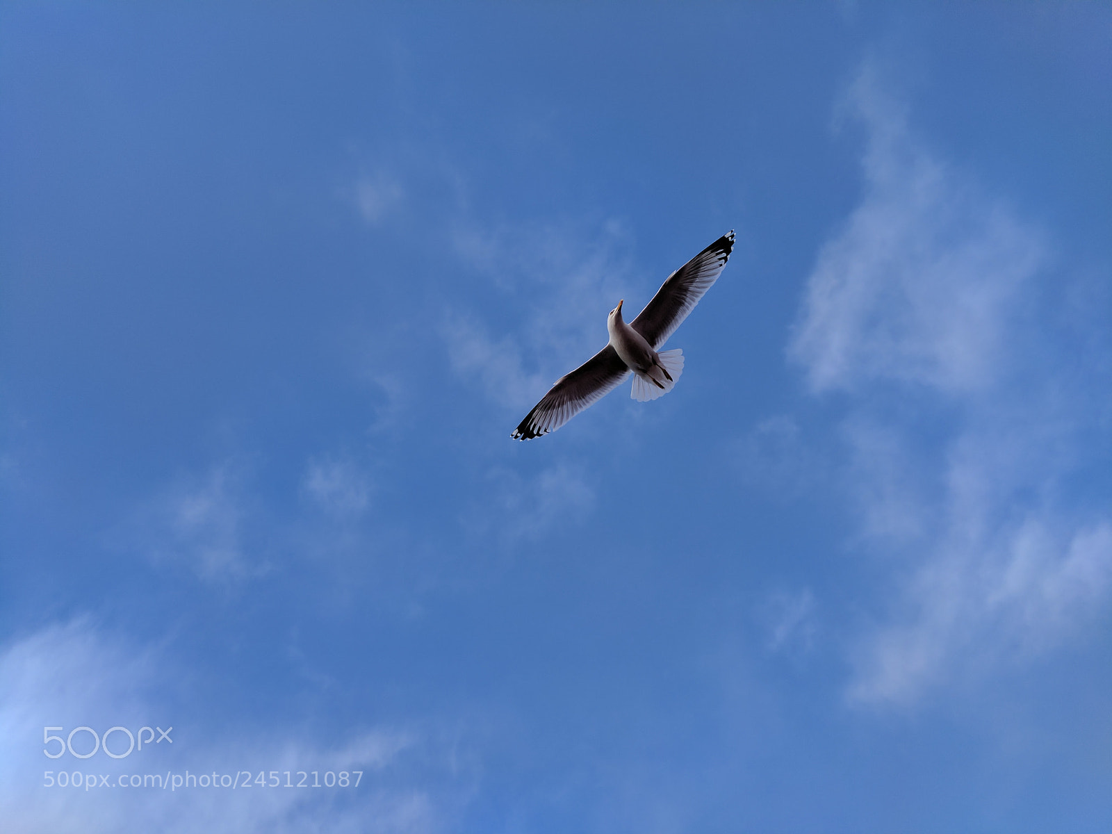 Google Pixel sample photo. Untitled photography