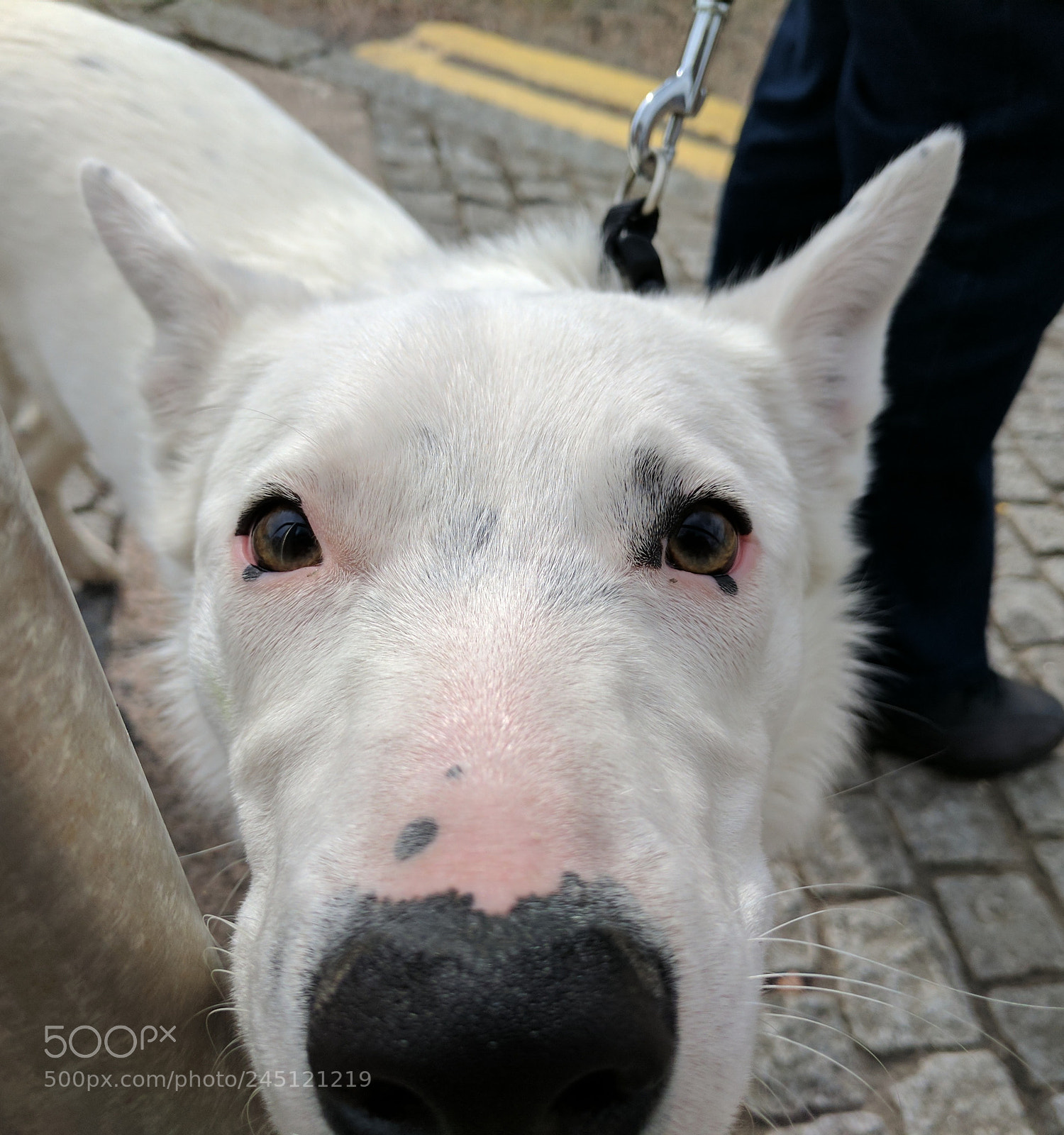 Google Pixel sample photo. Untitled photography