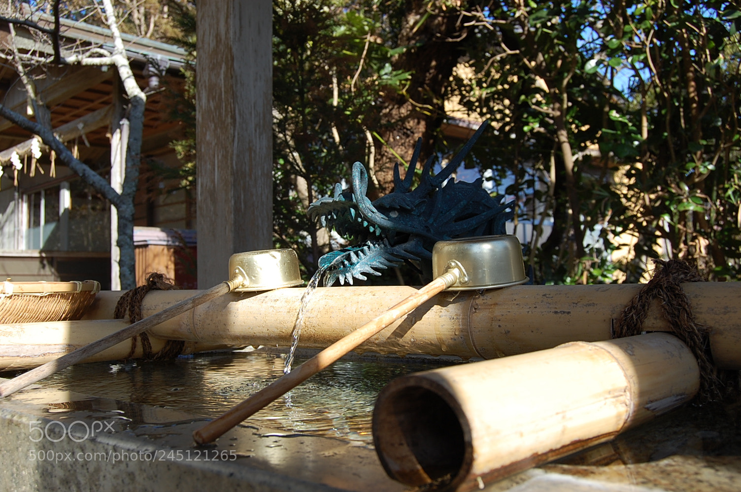Nikon D40 sample photo. Img photography