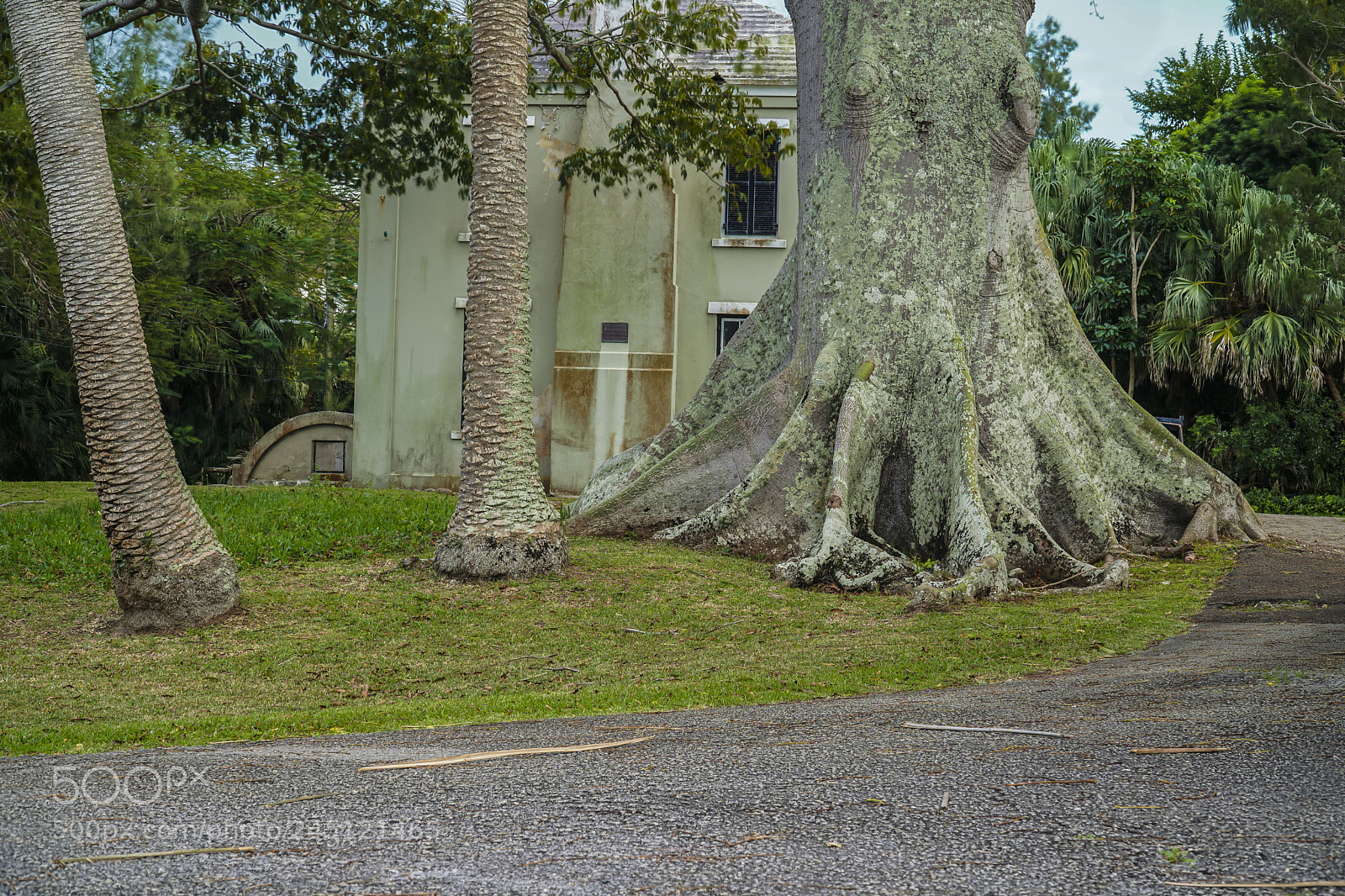 Sony a6300 sample photo. Big foot photography