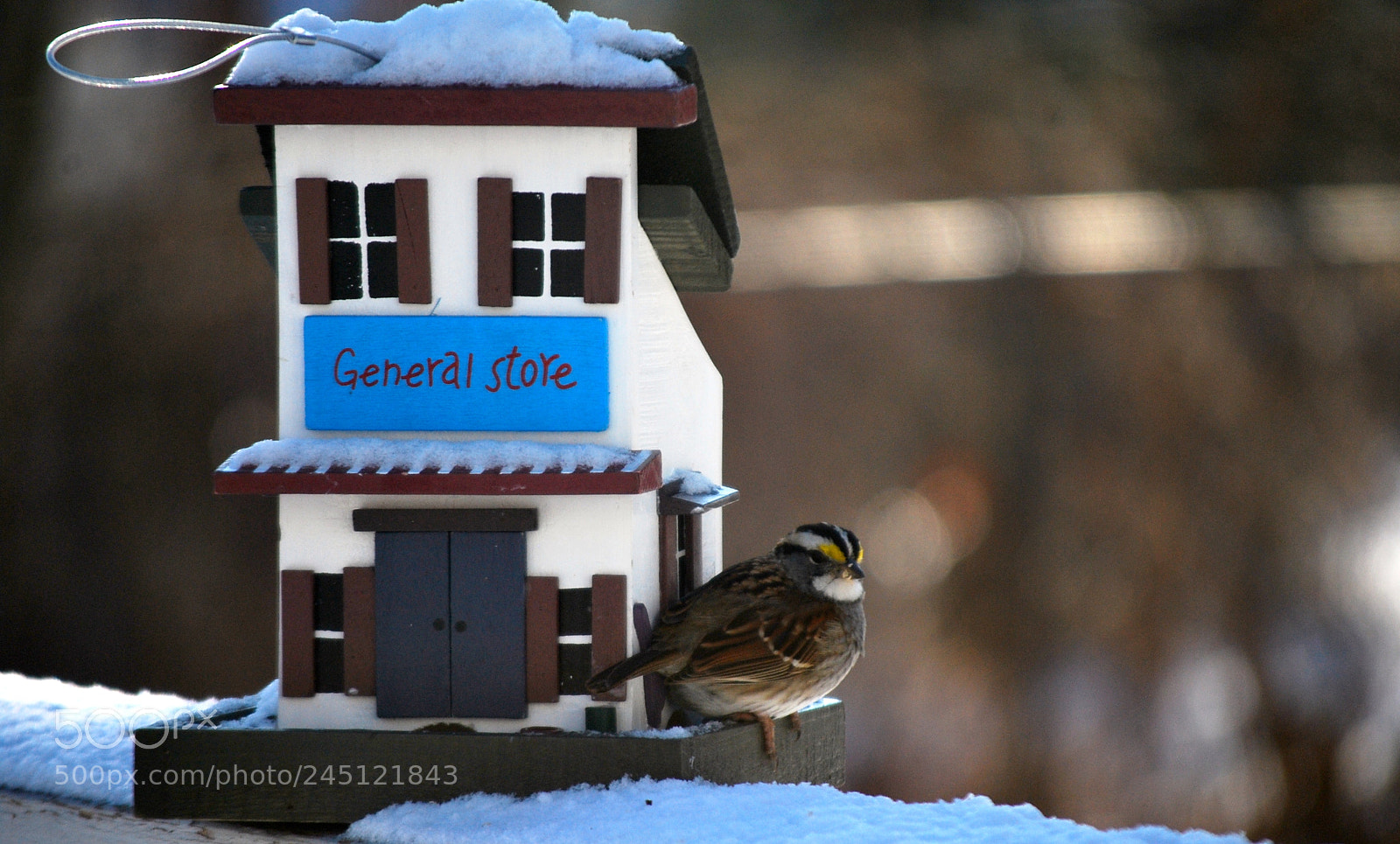Nikon D60 sample photo. Waiting for spring photography