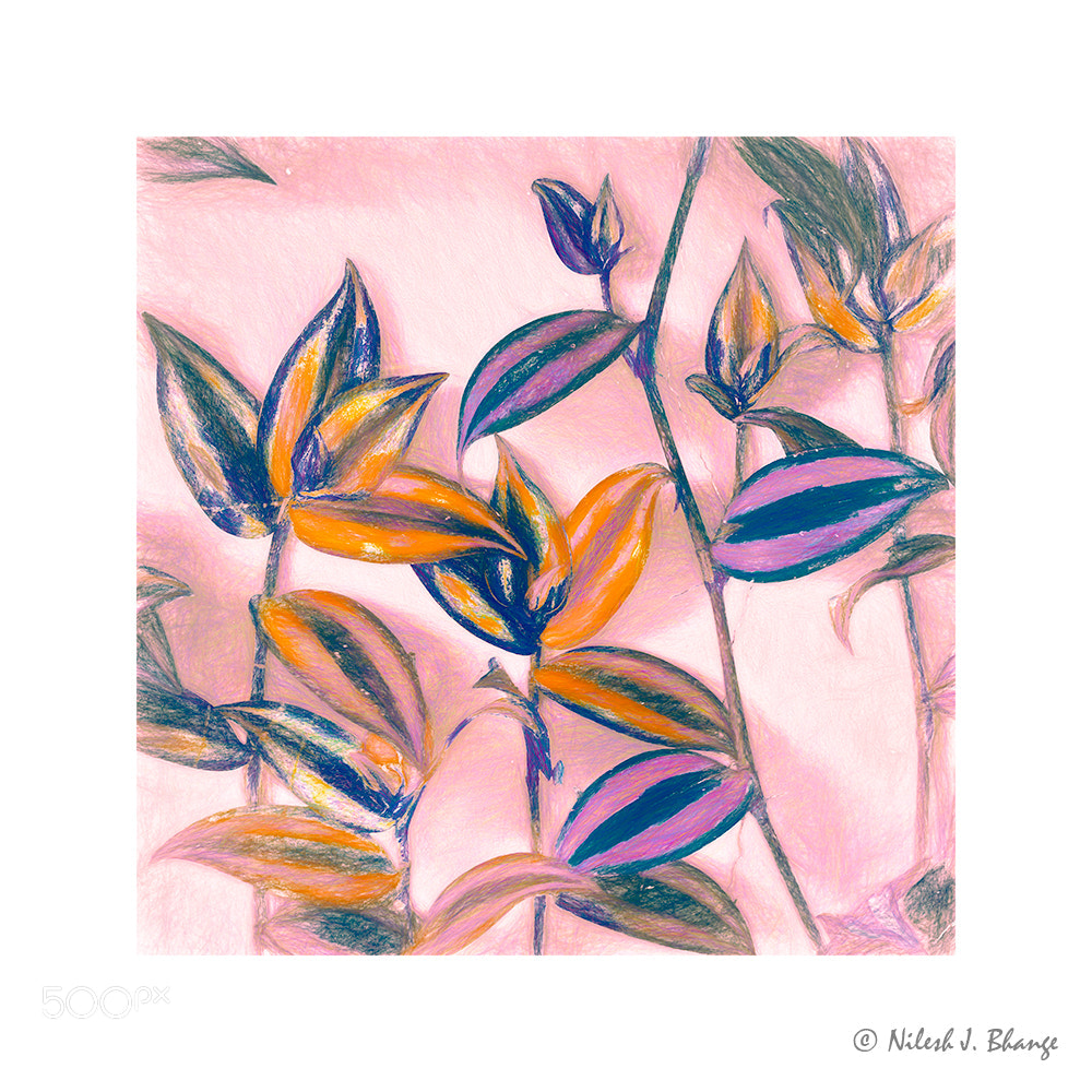 OnePlus 5 sample photo. Painted leaves photography