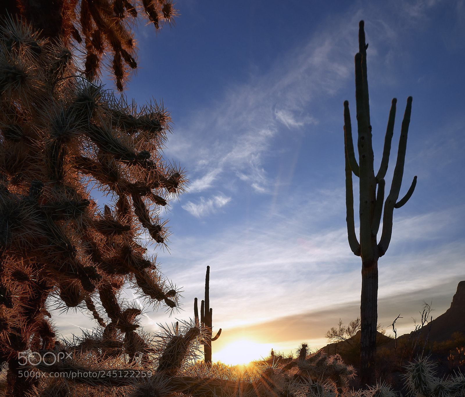 Sony a7R III sample photo. Sunrise at picacho peak photography