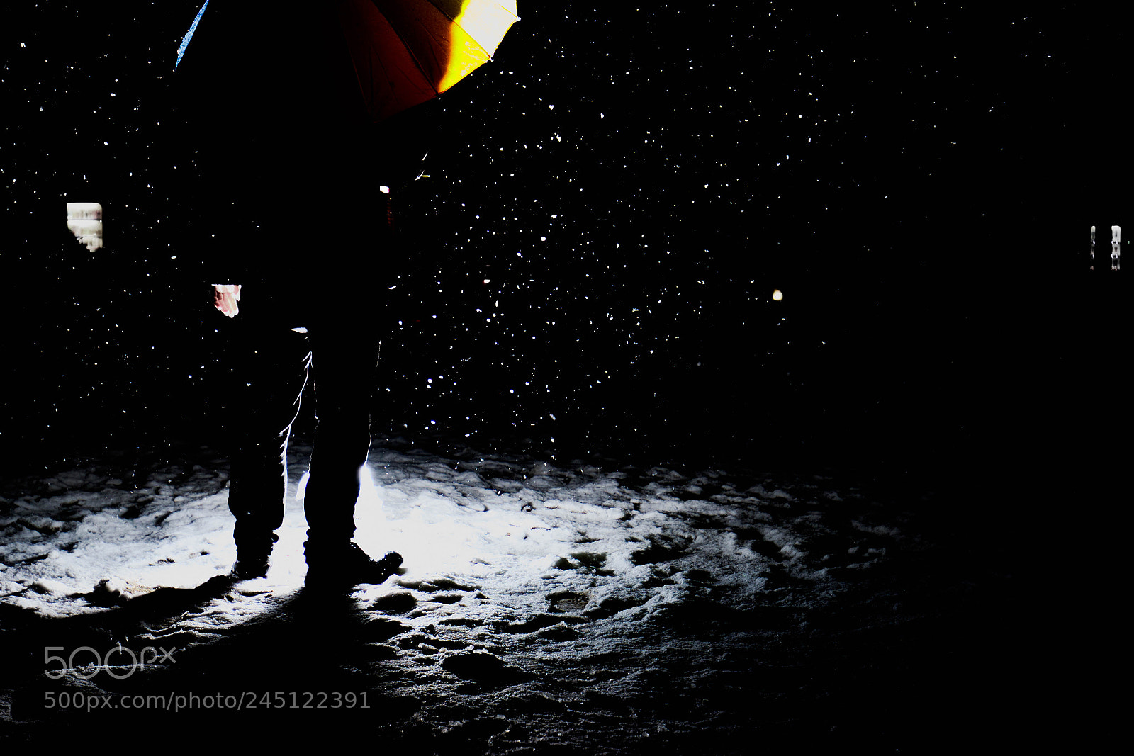 Canon EOS 7D Mark II sample photo. Snowfall photography