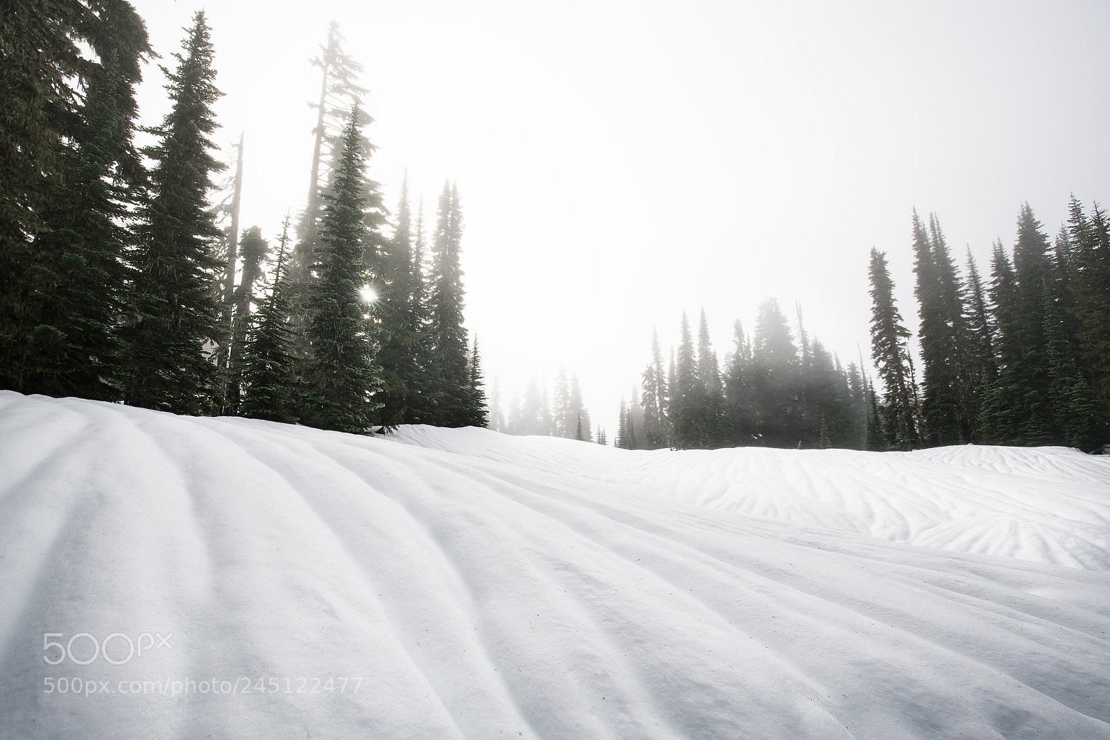 Sony a7R III sample photo. Winter at mt. rainier photography