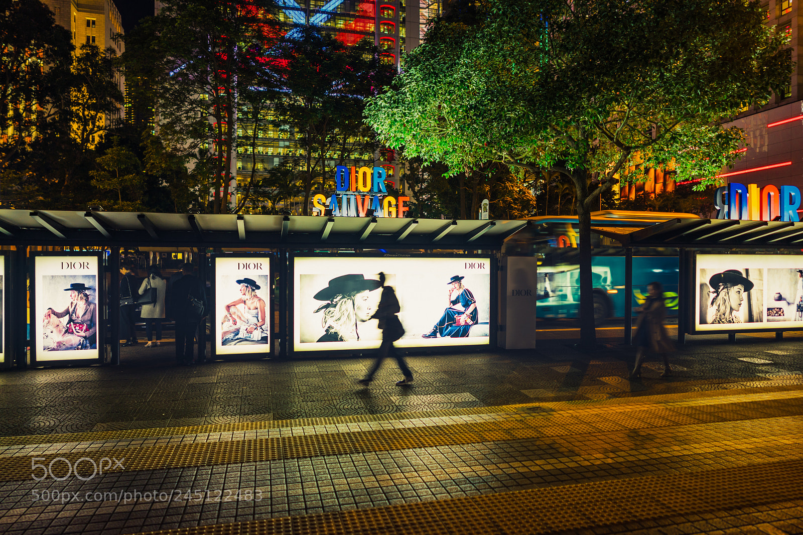 Sony a7 II sample photo. Hurry photography