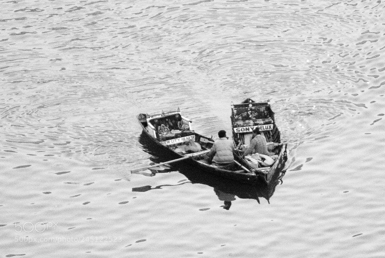 Canon EOS 1000D (EOS Digital Rebel XS / EOS Kiss F) sample photo. Morning chats photography