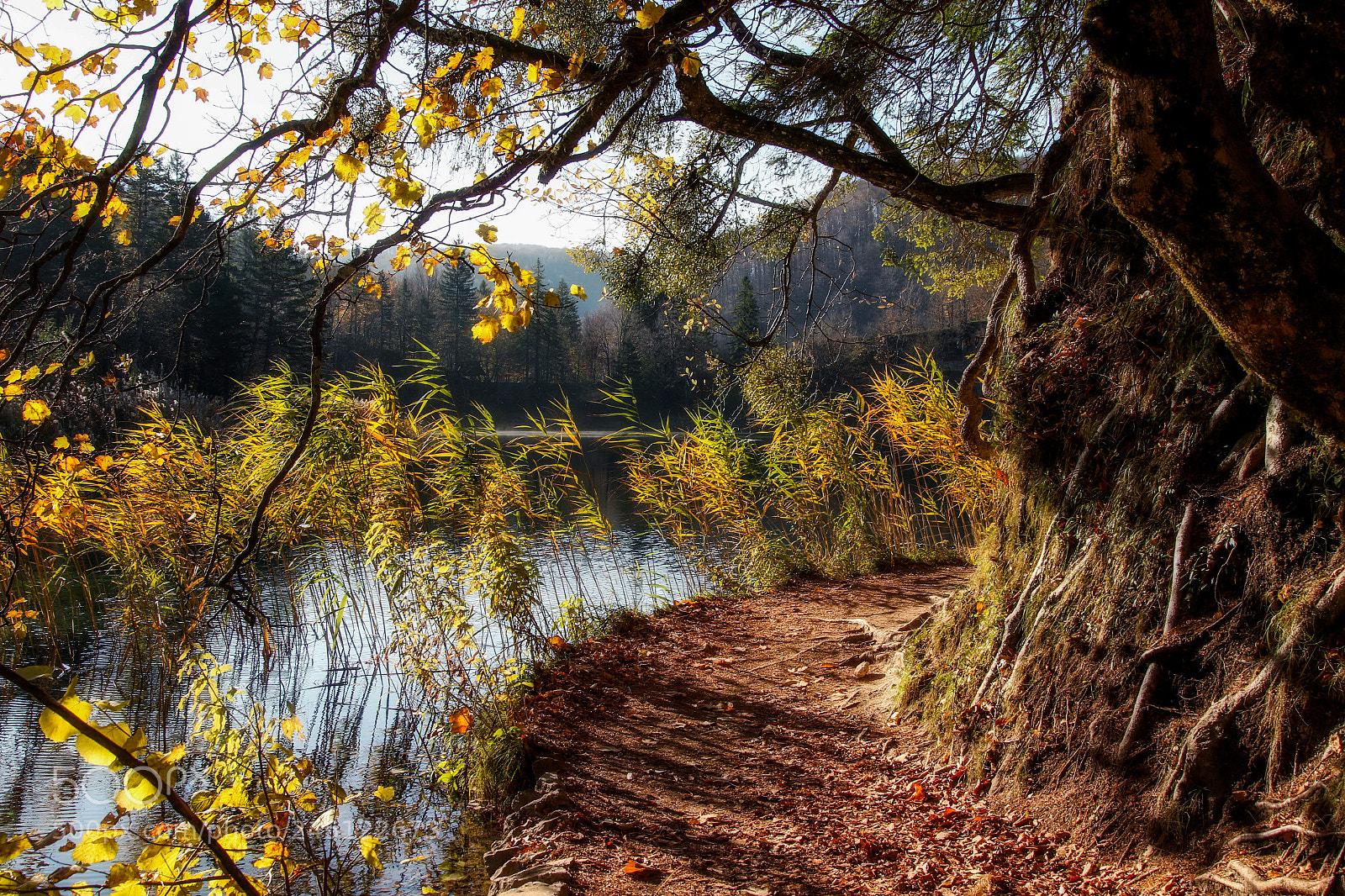 Canon EOS 7D Mark II sample photo. Plitvice photography