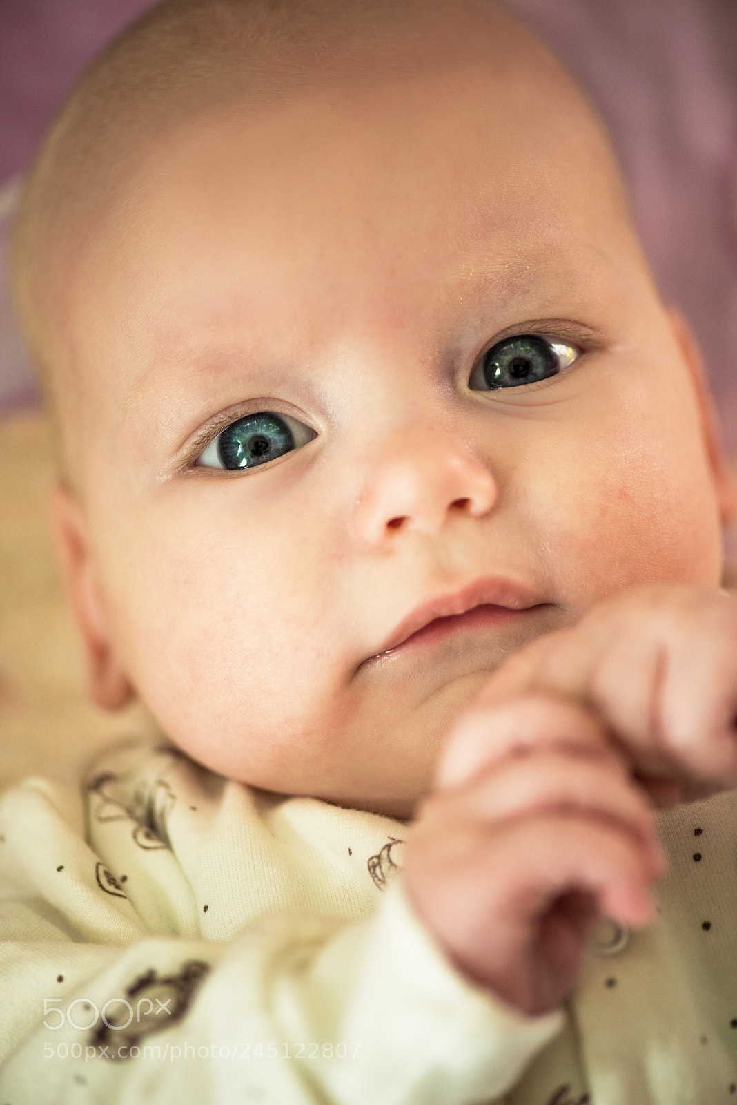 Nikon D810 sample photo. Cute dreamly little baby photography