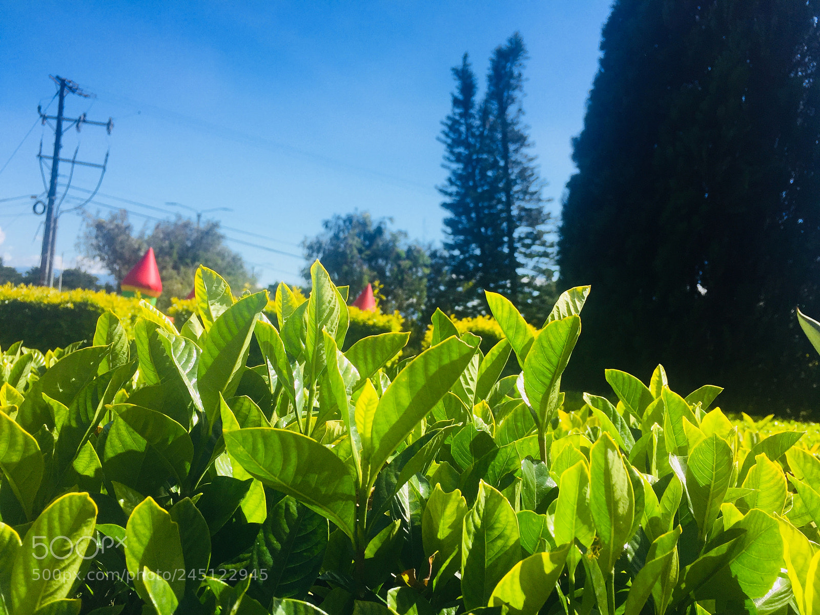 Apple iPhone 6 sample photo. Castillo country club, costa photography
