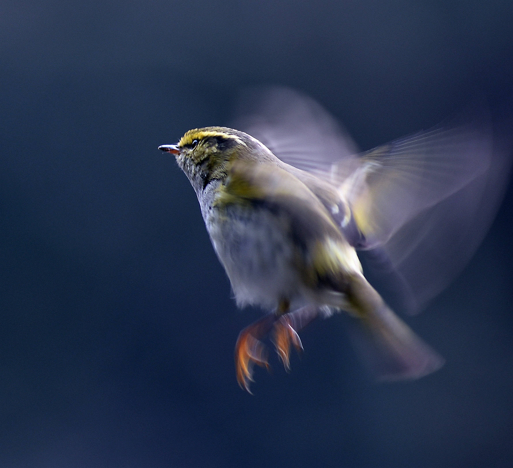 Nikon AF-Nikkor 80-200mm F2.8D ED sample photo
