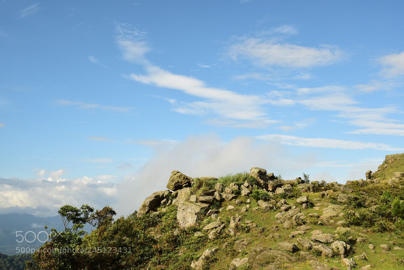 Nikon D5500 sample photo. Pro photography