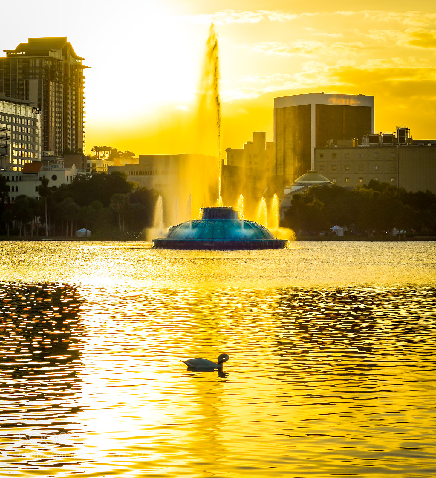 Nikon D7200 sample photo. Golden glow of lake photography