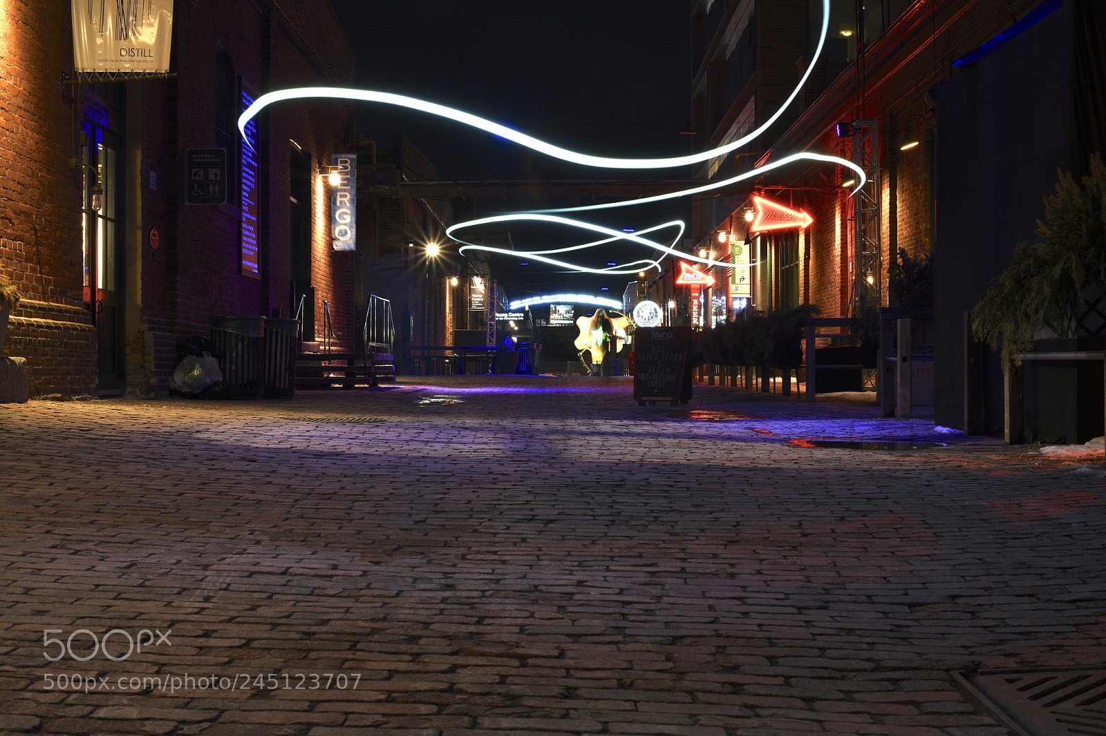 Nikon D850 sample photo. Untitled photography