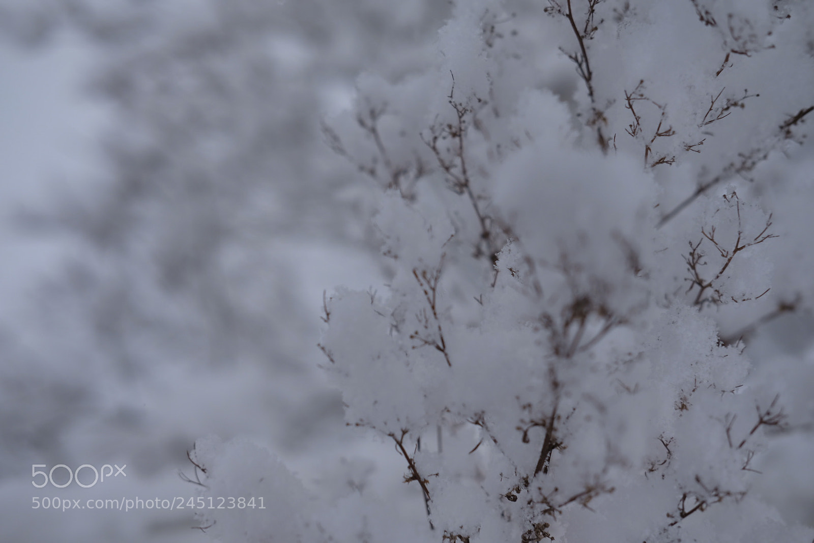 Fujifilm X-Pro2 sample photo. Untitled photography