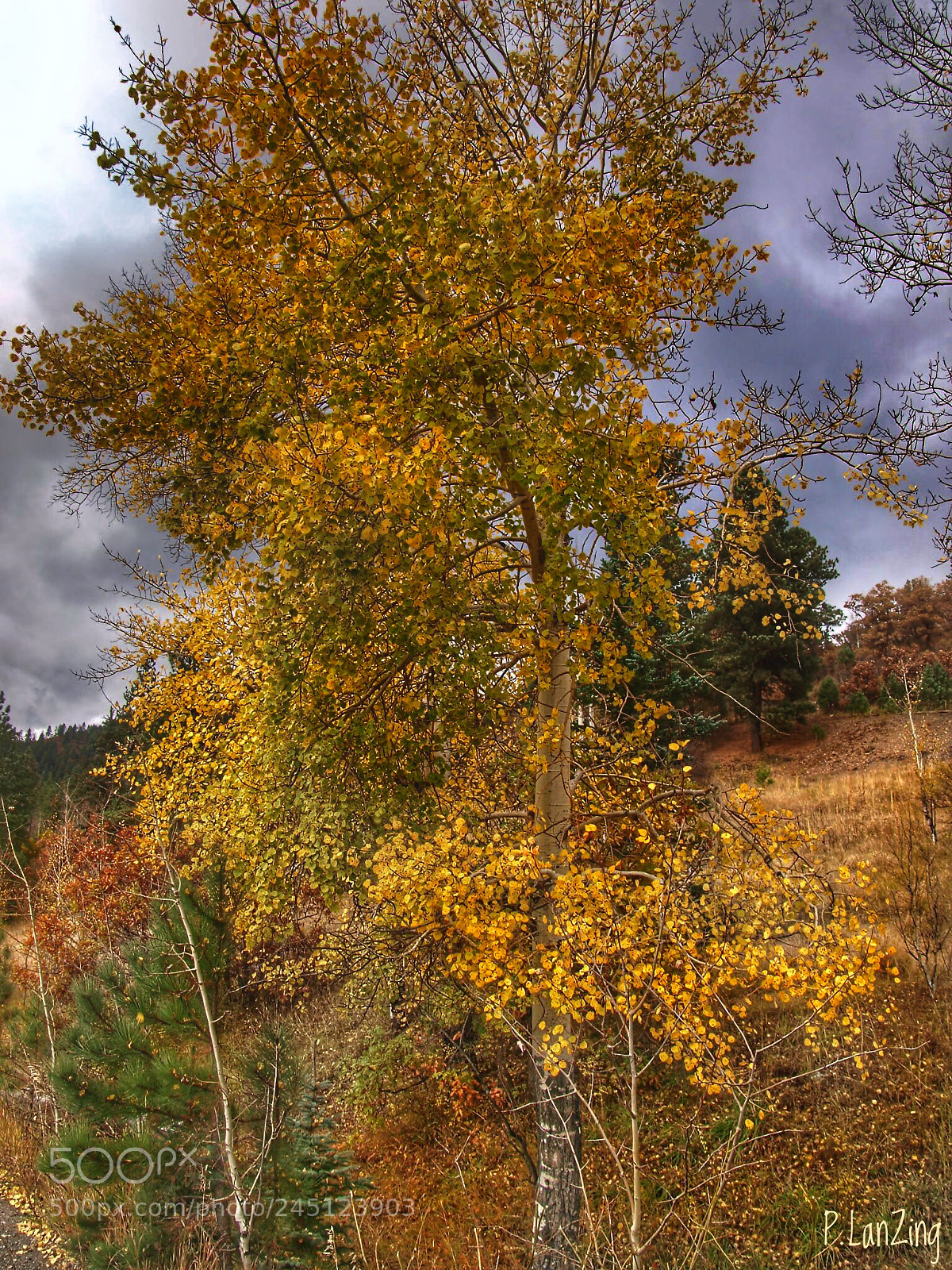 Olympus E-3 sample photo. The autumn spirit photography