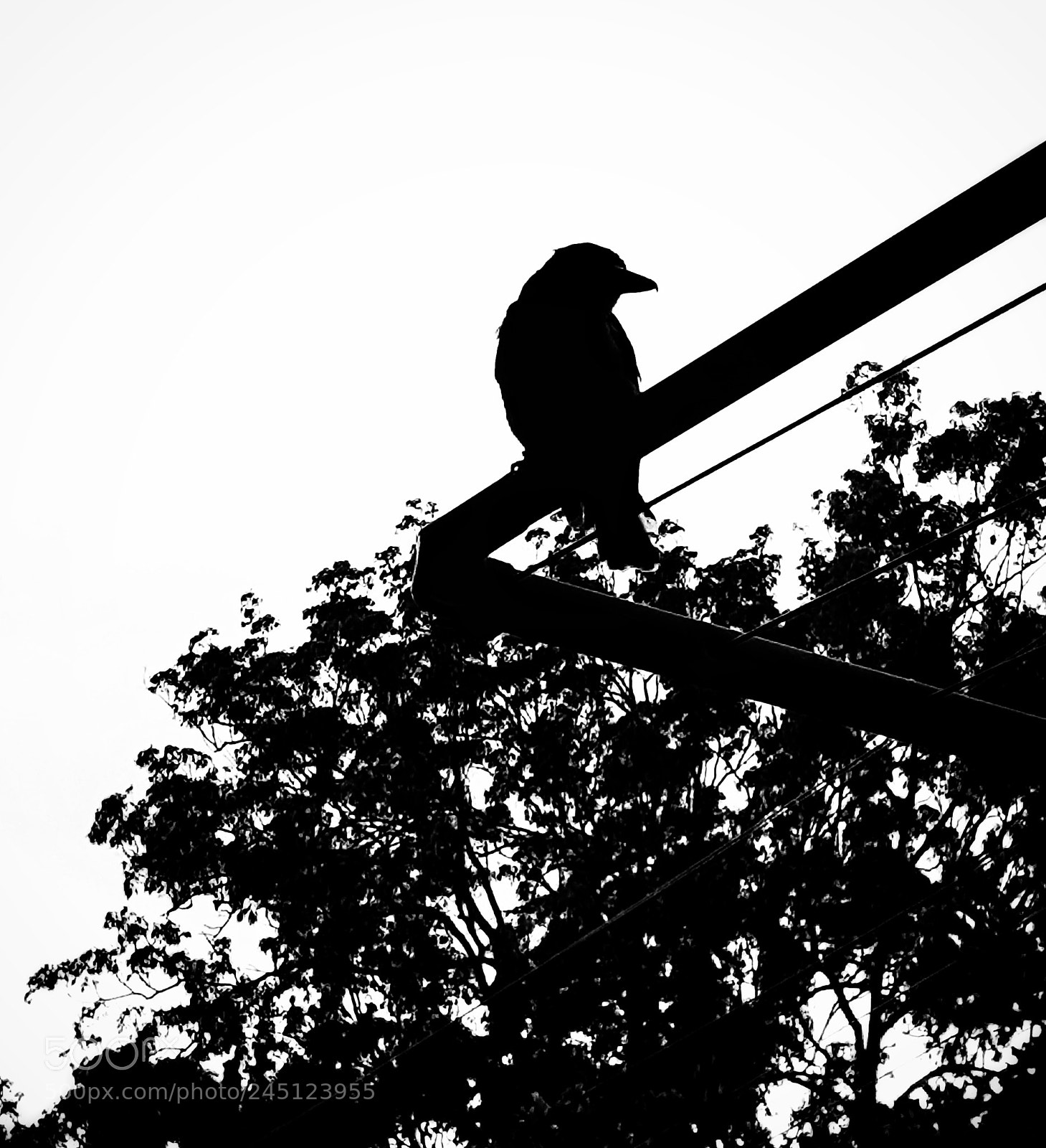 Samsung Galaxy S8+ sample photo. My first silhouette photography
