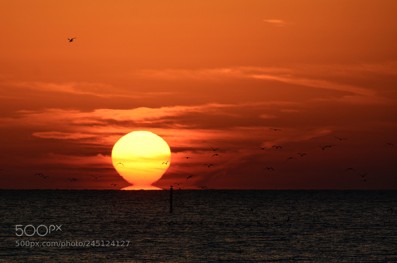 Nikon D7100 sample photo. Sunrise, pass christian, ms. photography