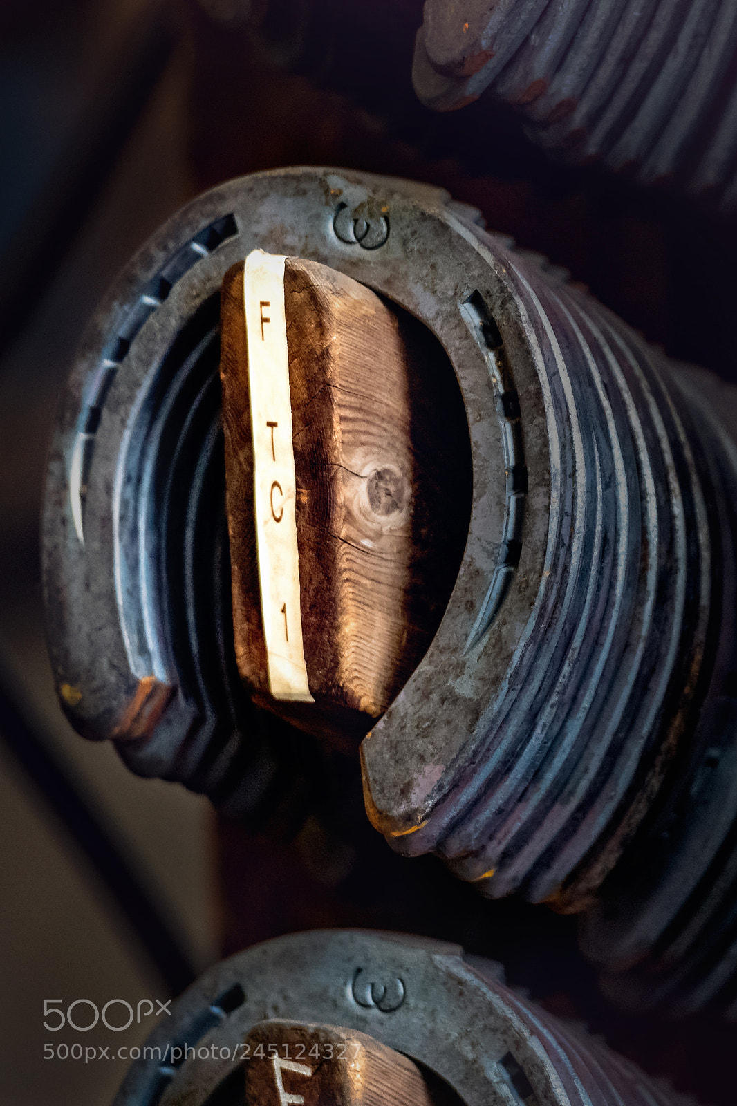 Nikon D850 sample photo. Horseshoes anyone? photography
