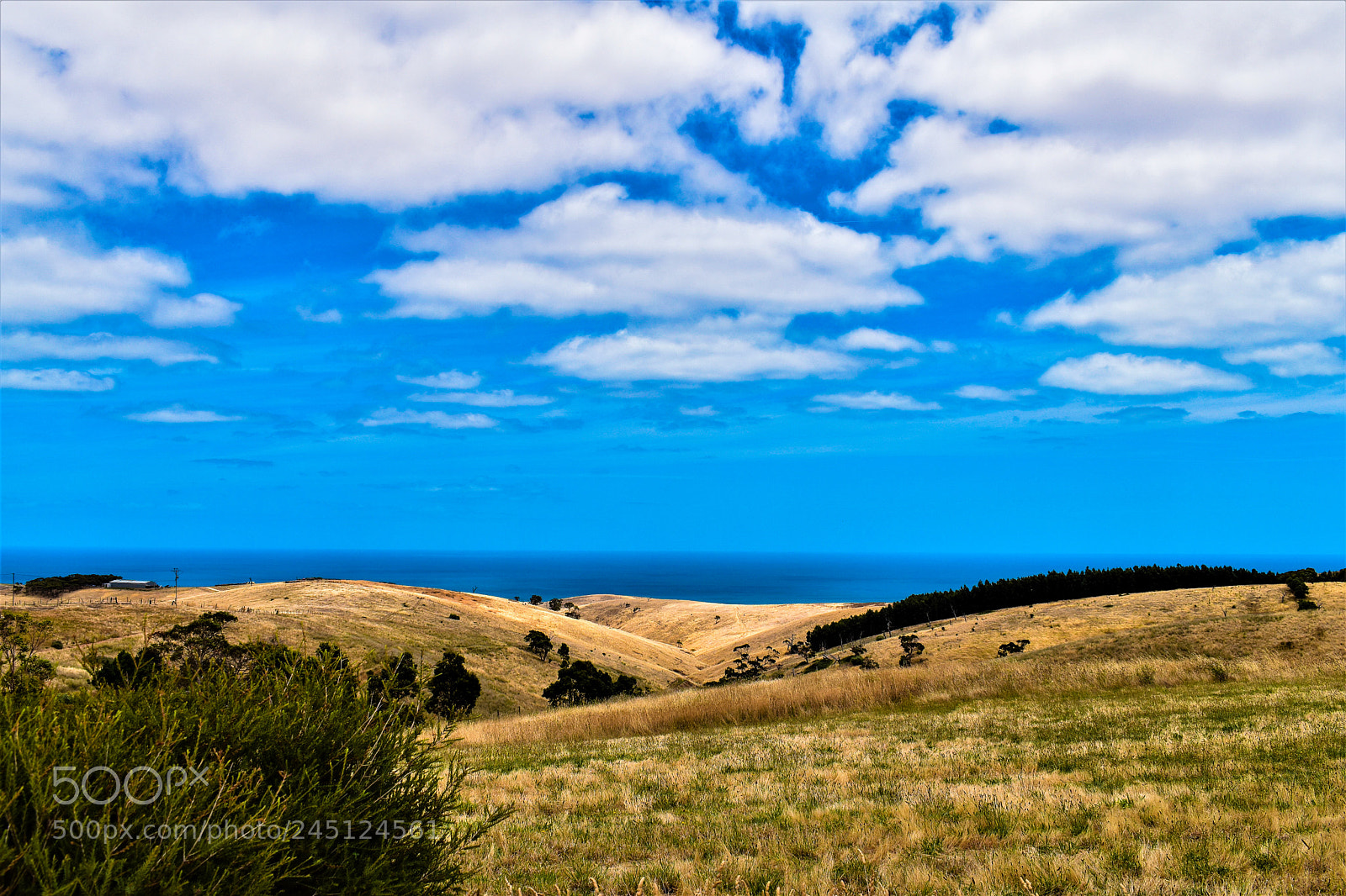 Nikon D5600 sample photo. Myponga, south australia photography