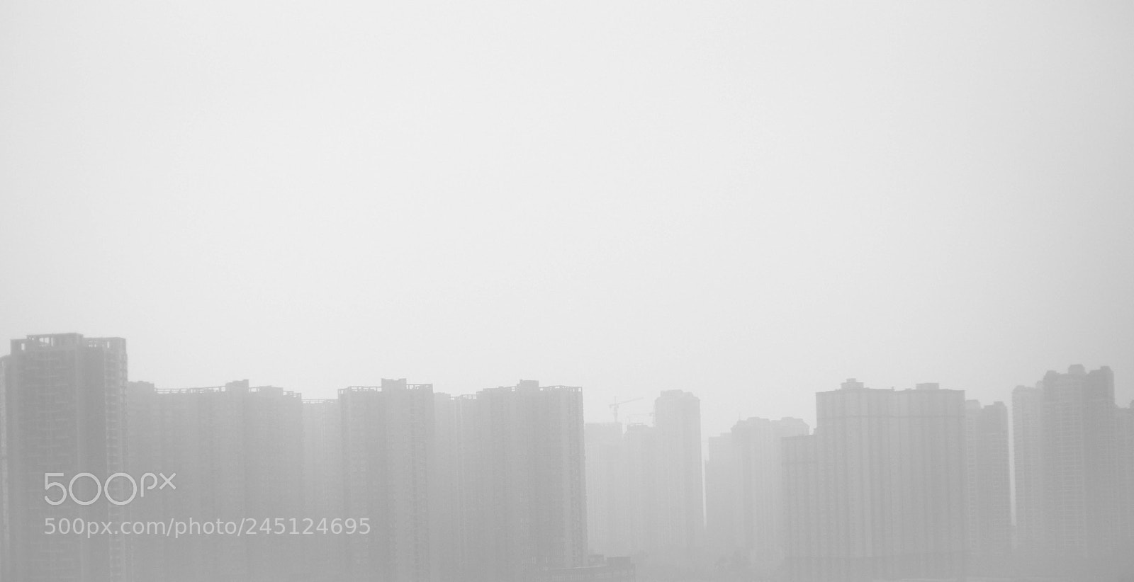 Canon EOS 6D Mark II sample photo. Untitled photography