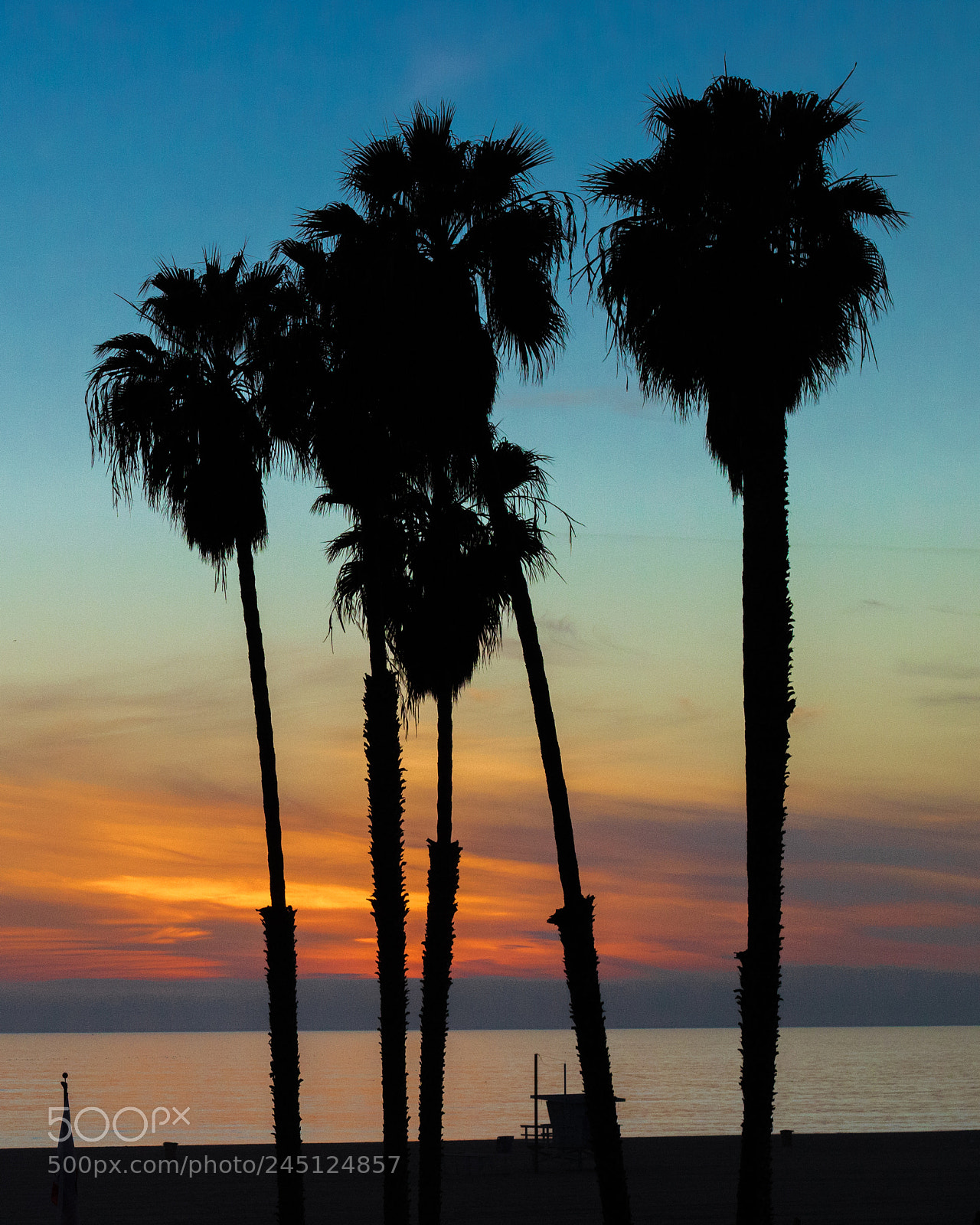 Canon EOS 750D (EOS Rebel T6i / EOS Kiss X8i) sample photo. Palm trees at sunset photography